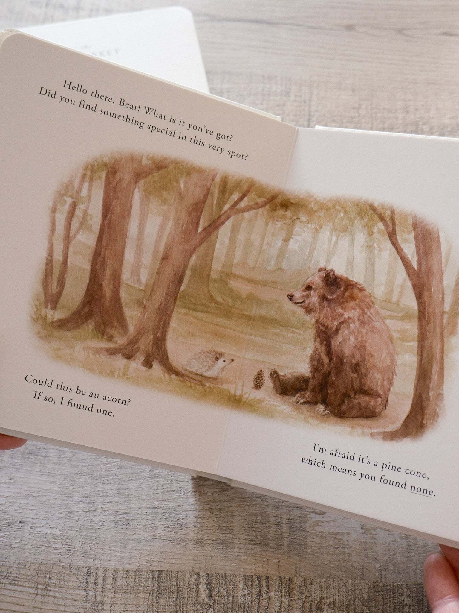 Our Little Adventure Series 13