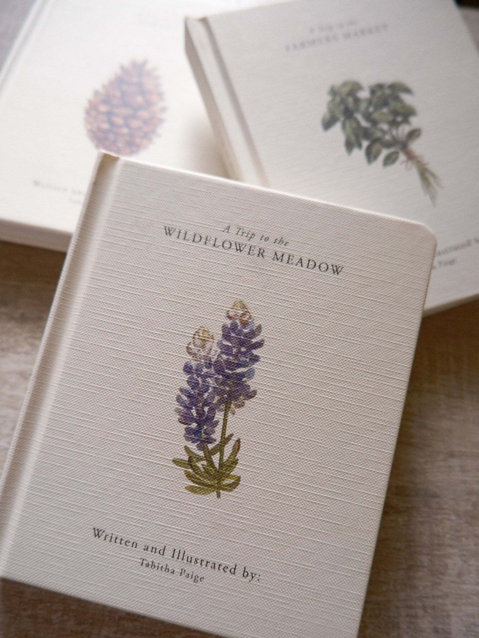 Our Little Adventure Series 2