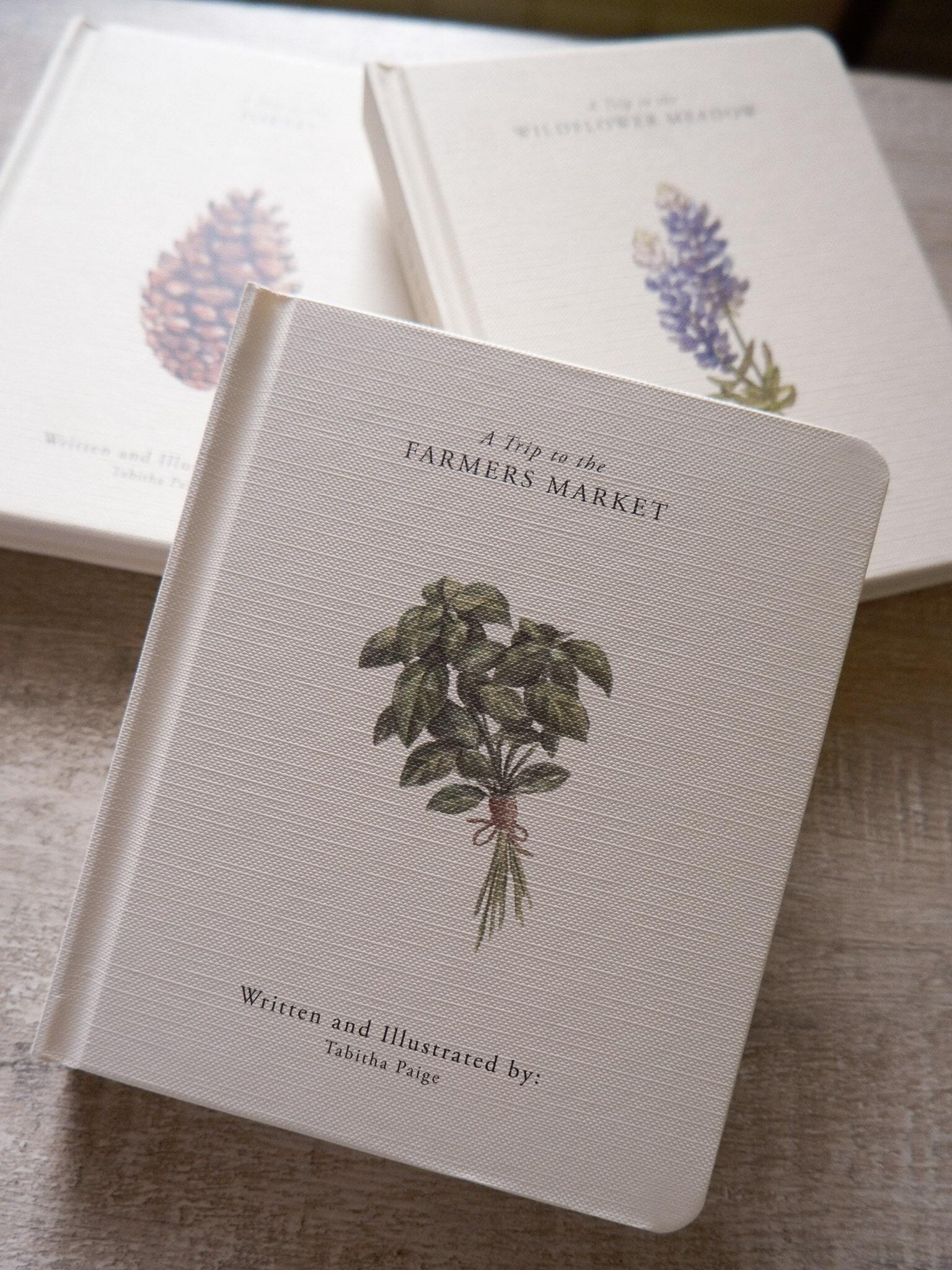 Our Little Adventure Series 3