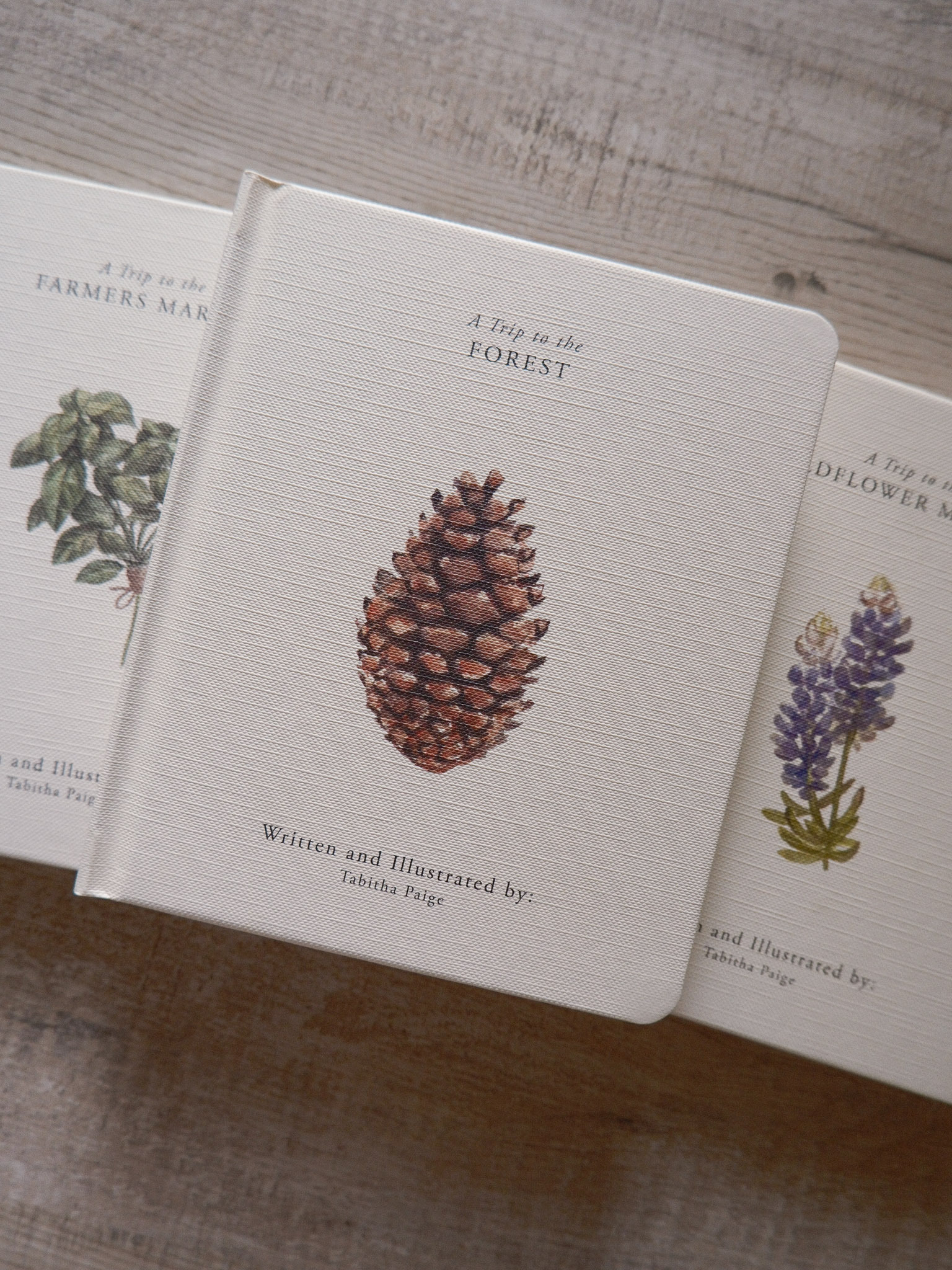 Our Little Adventure Series 4