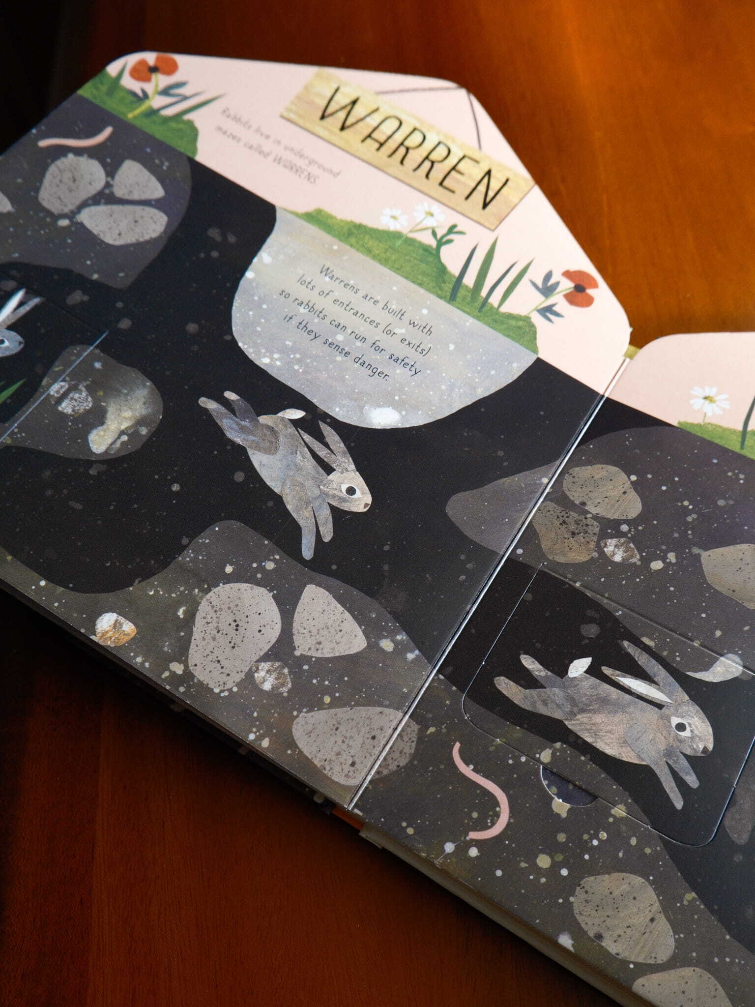 Animal Homes - A lift-the-flap book of discovery 5