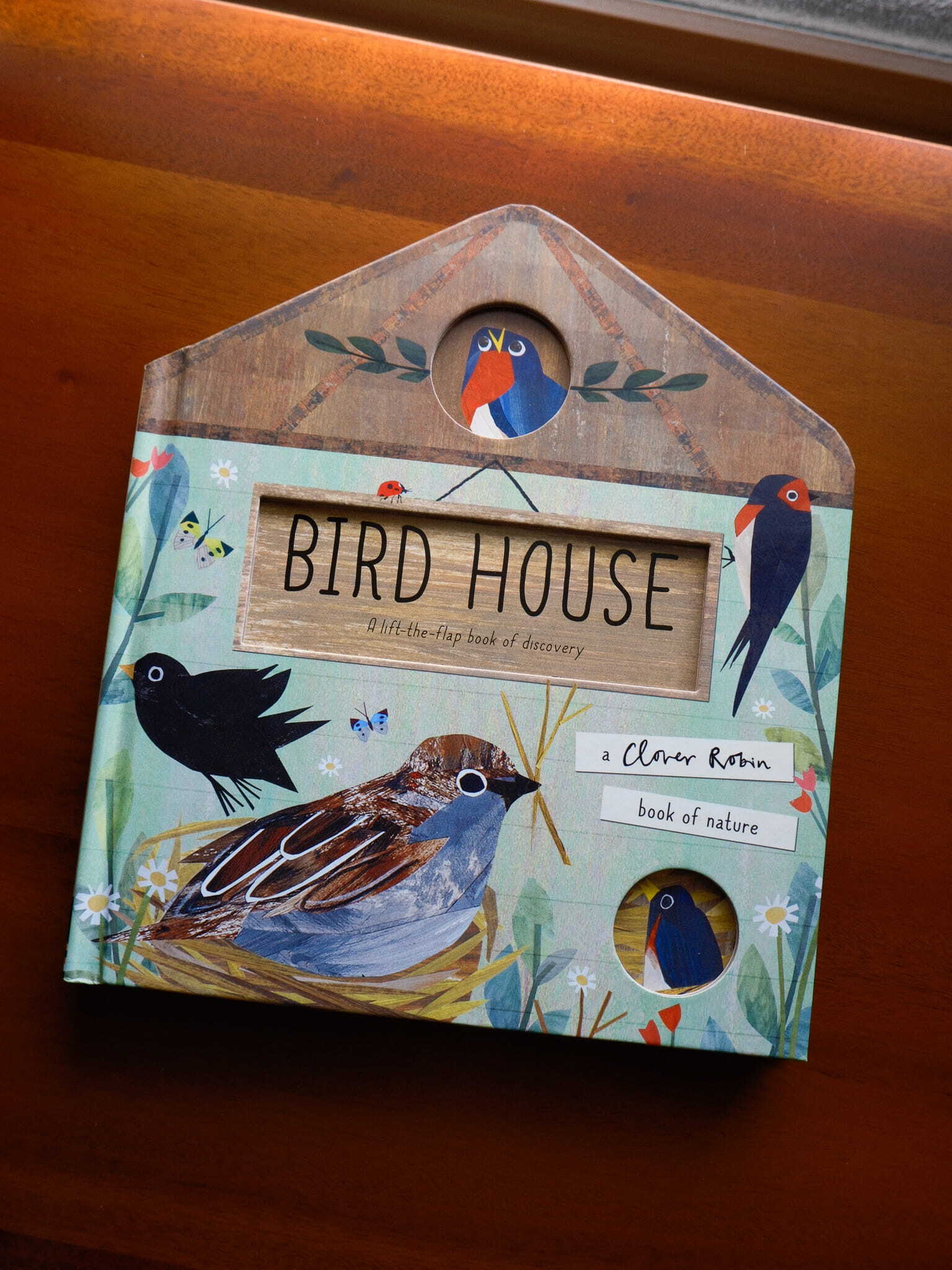 Bird House 1
