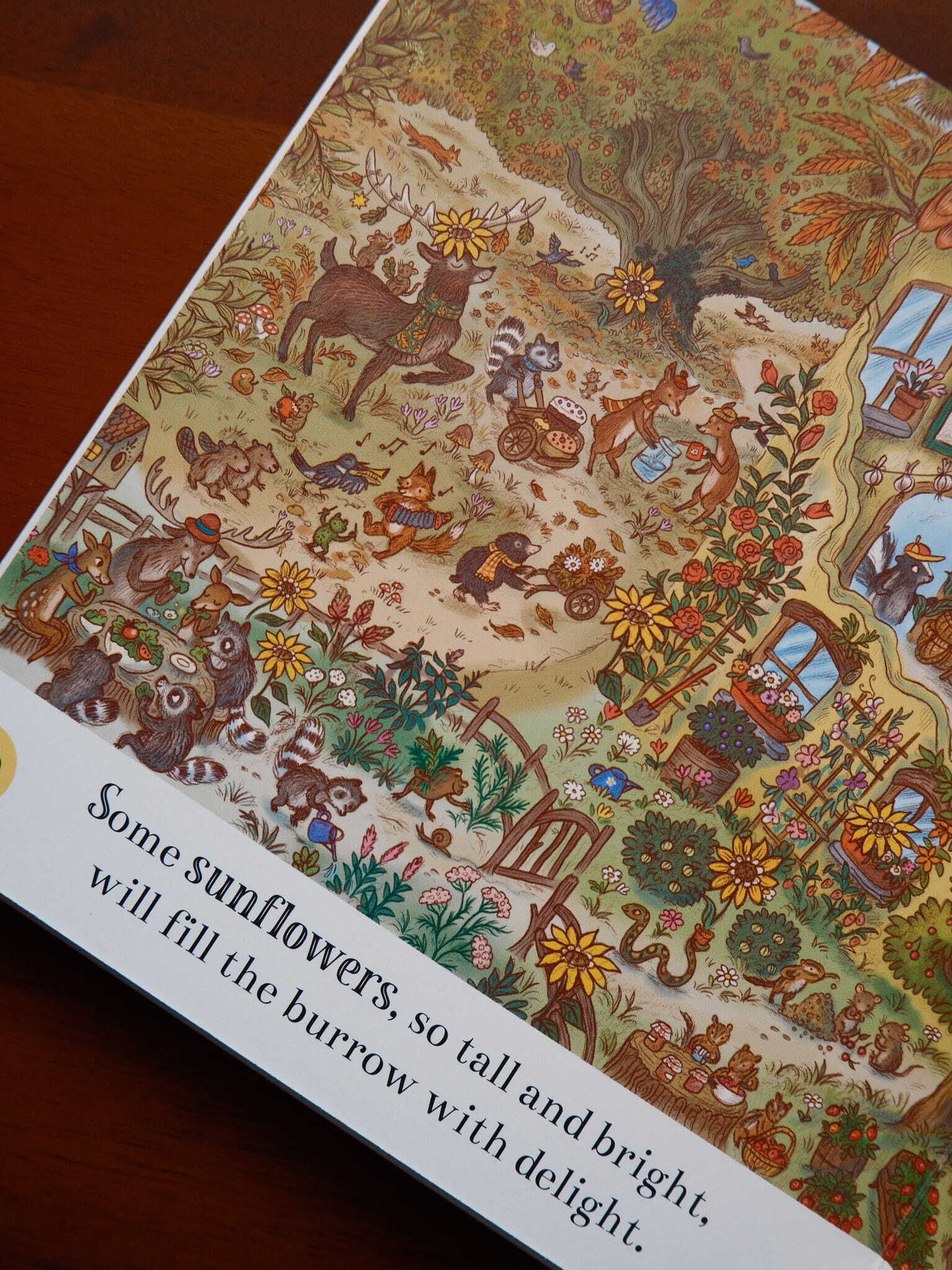 Brown Bear Wood - New Baby Bunny 5