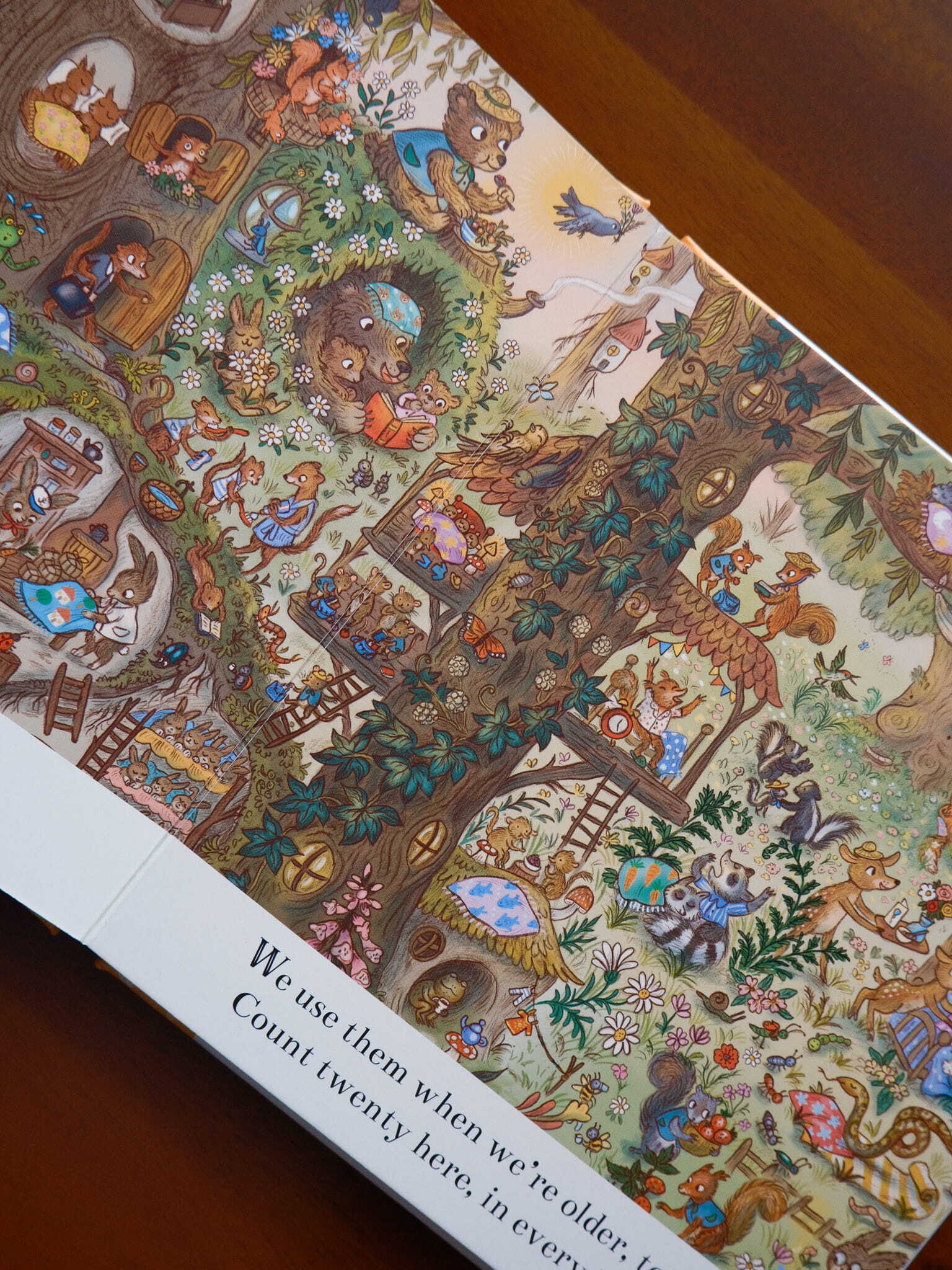 Brown Bear Wood - New Baby Bunny 4