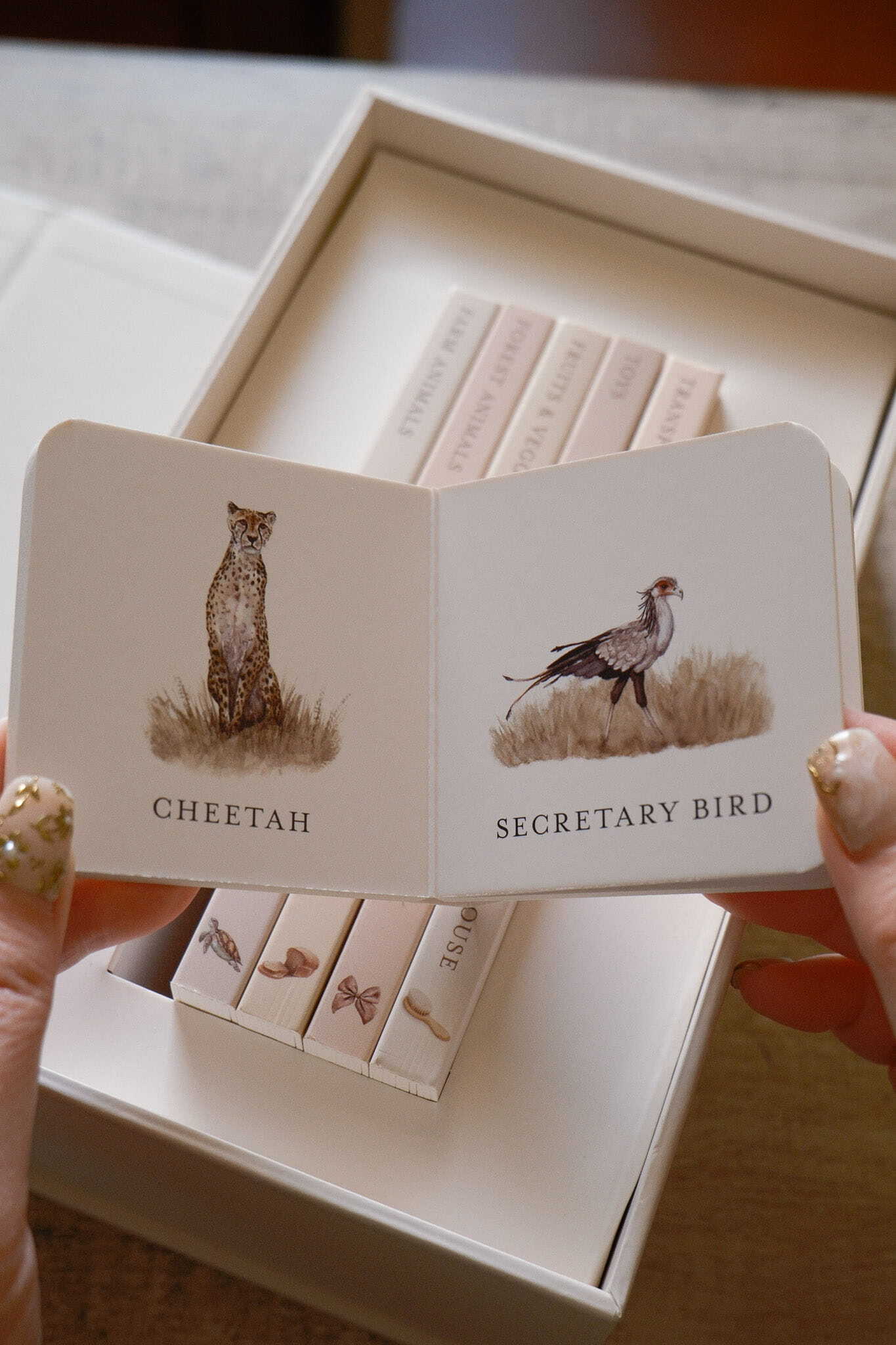 Our Very Little Library 6