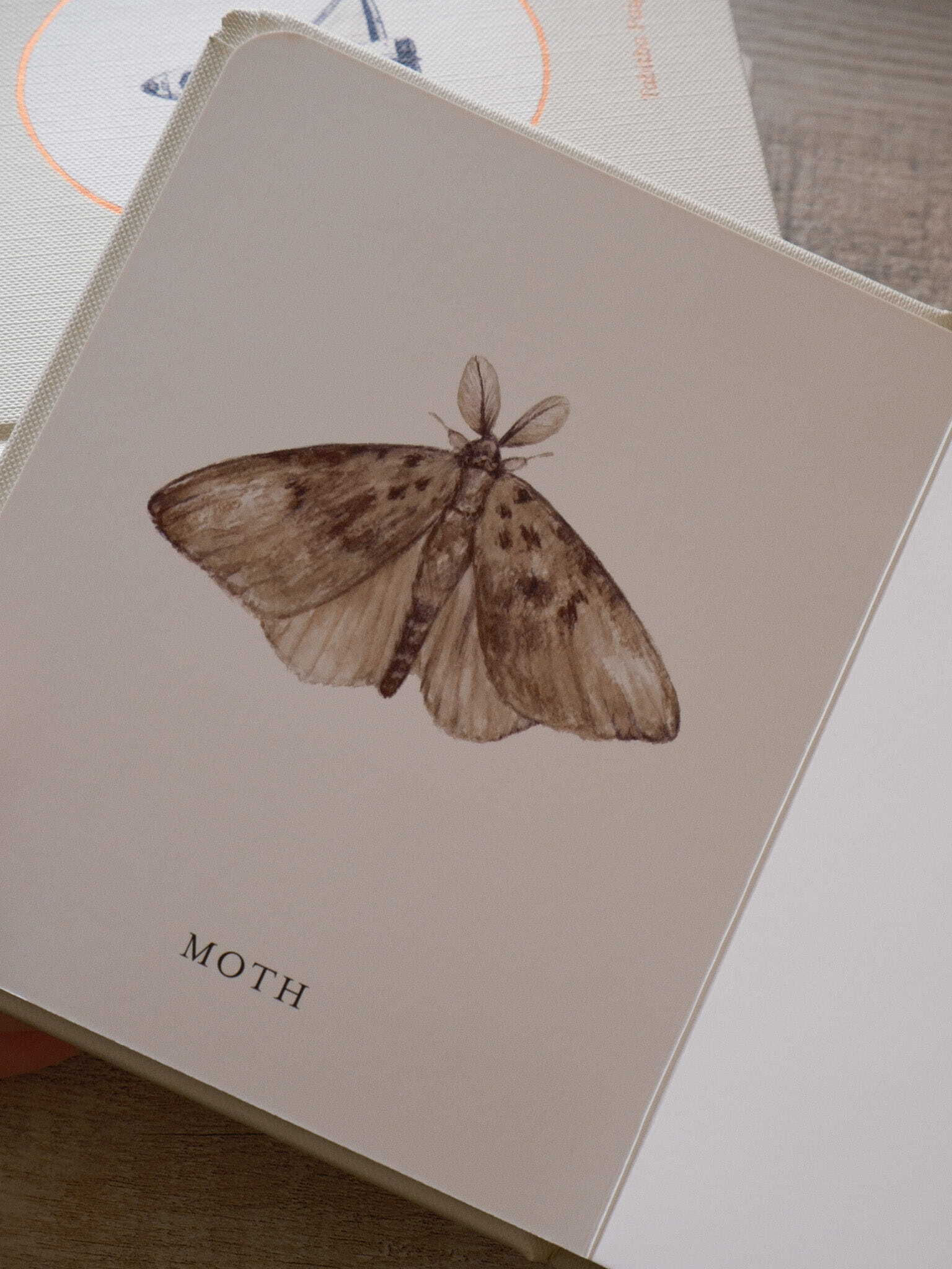 Our Little Library Vol. 3 - 8