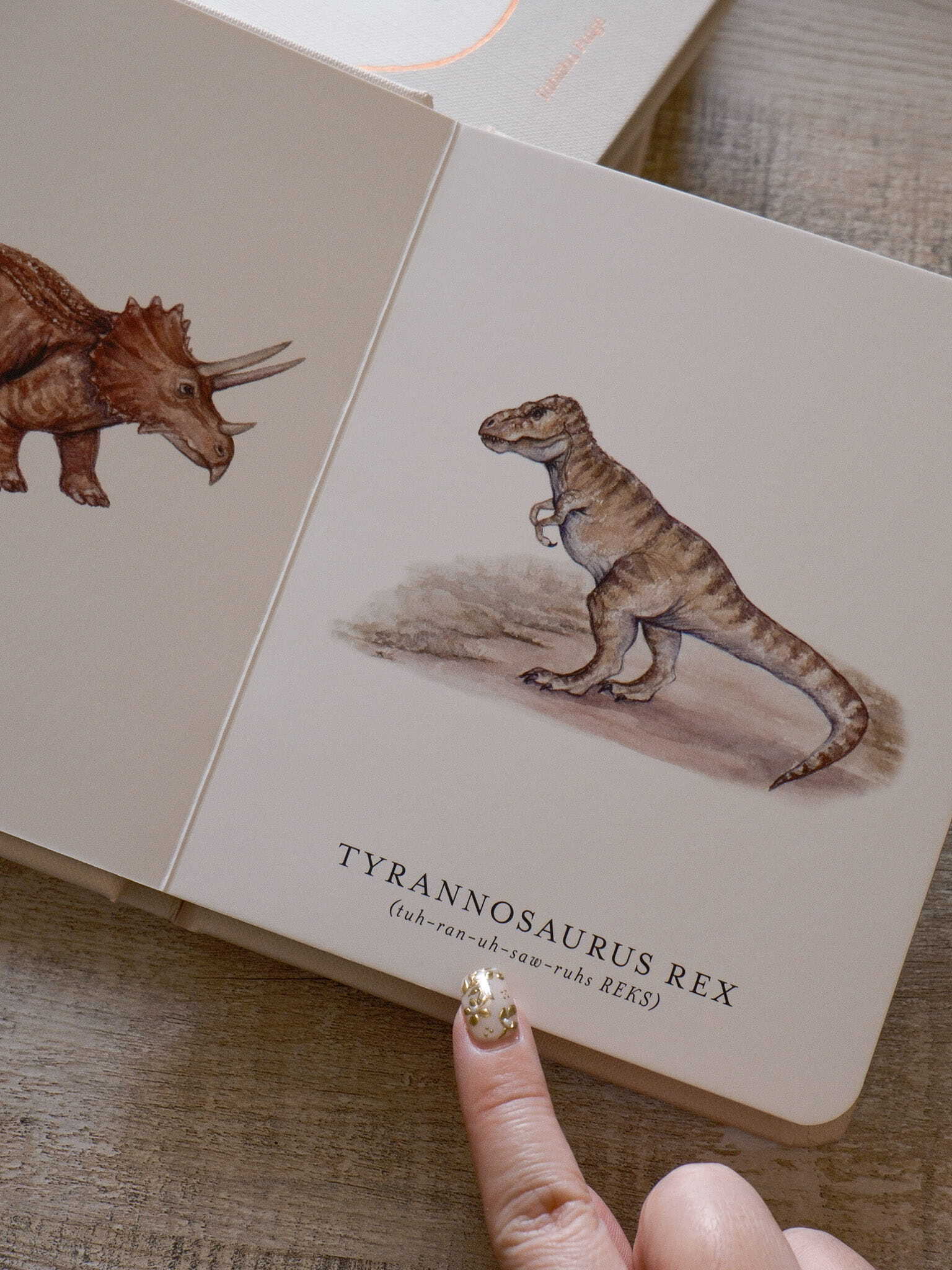 Our Little Library Vol. 3 - 6