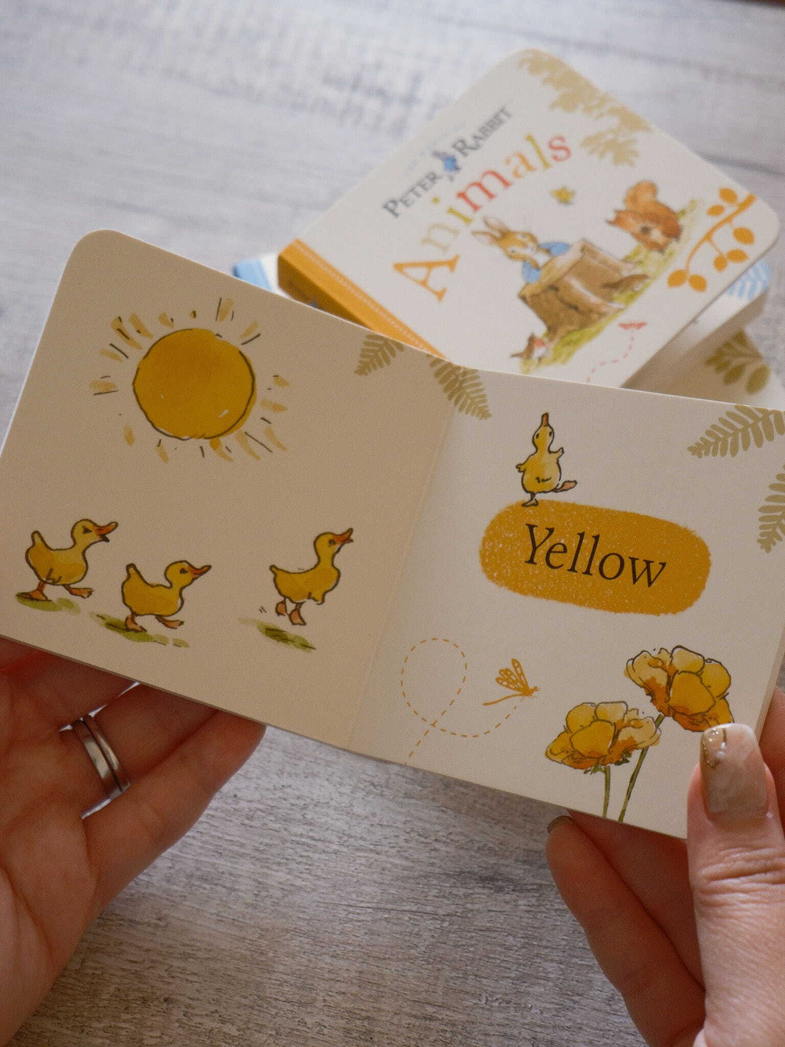 Peter Rabbit Tales Little Library 7