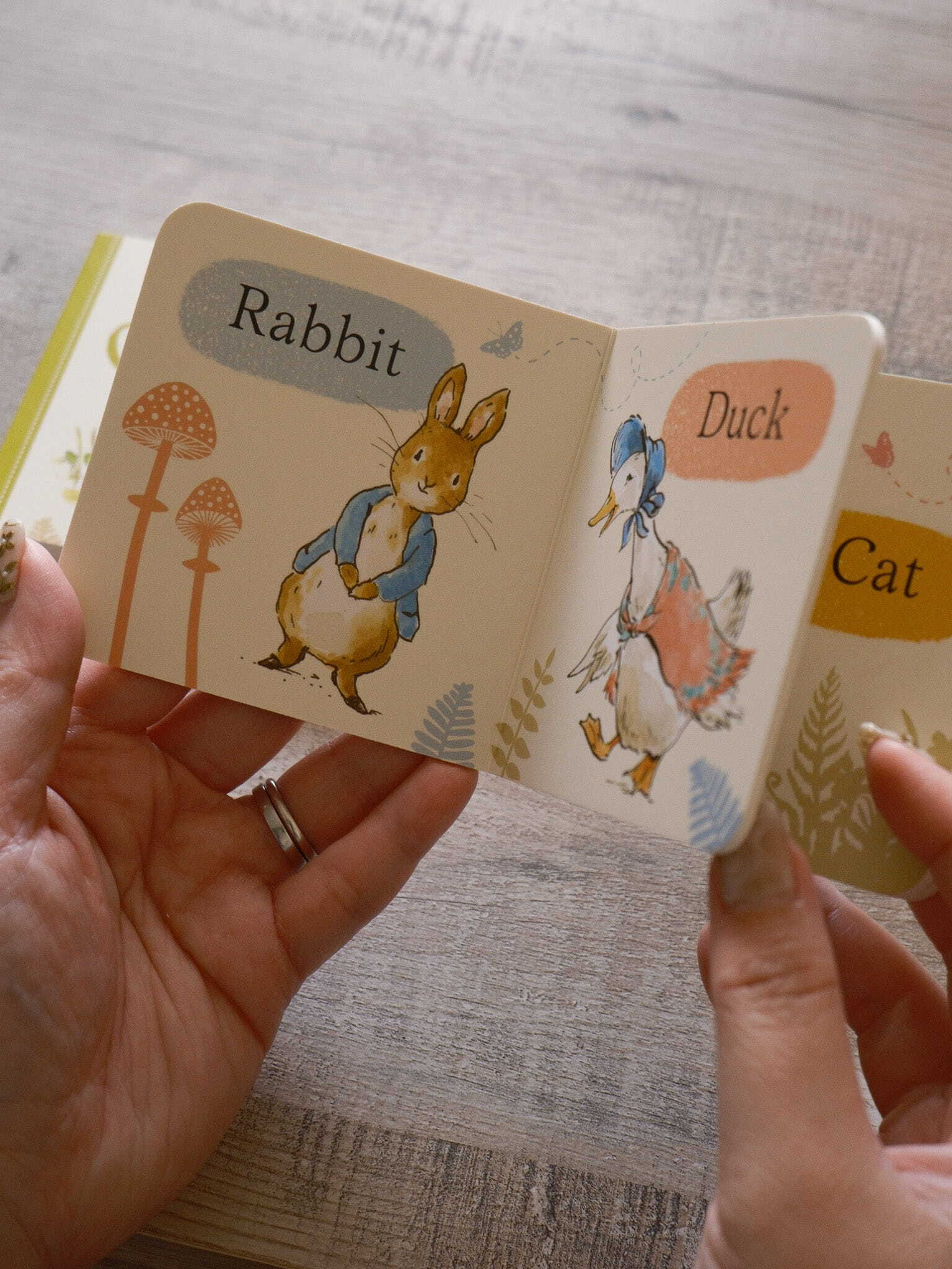 Peter Rabbit Tales Little Library 6