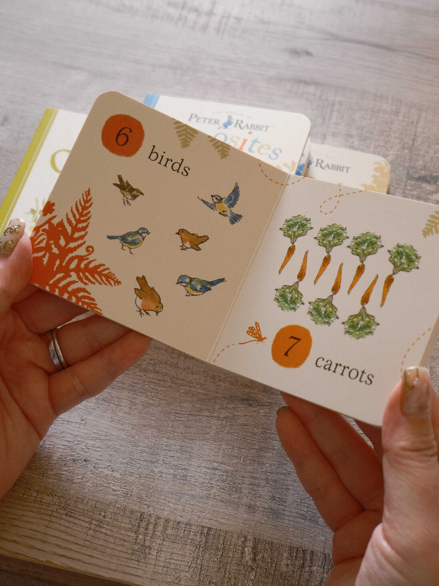 Peter Rabbit Tales Little Library 5