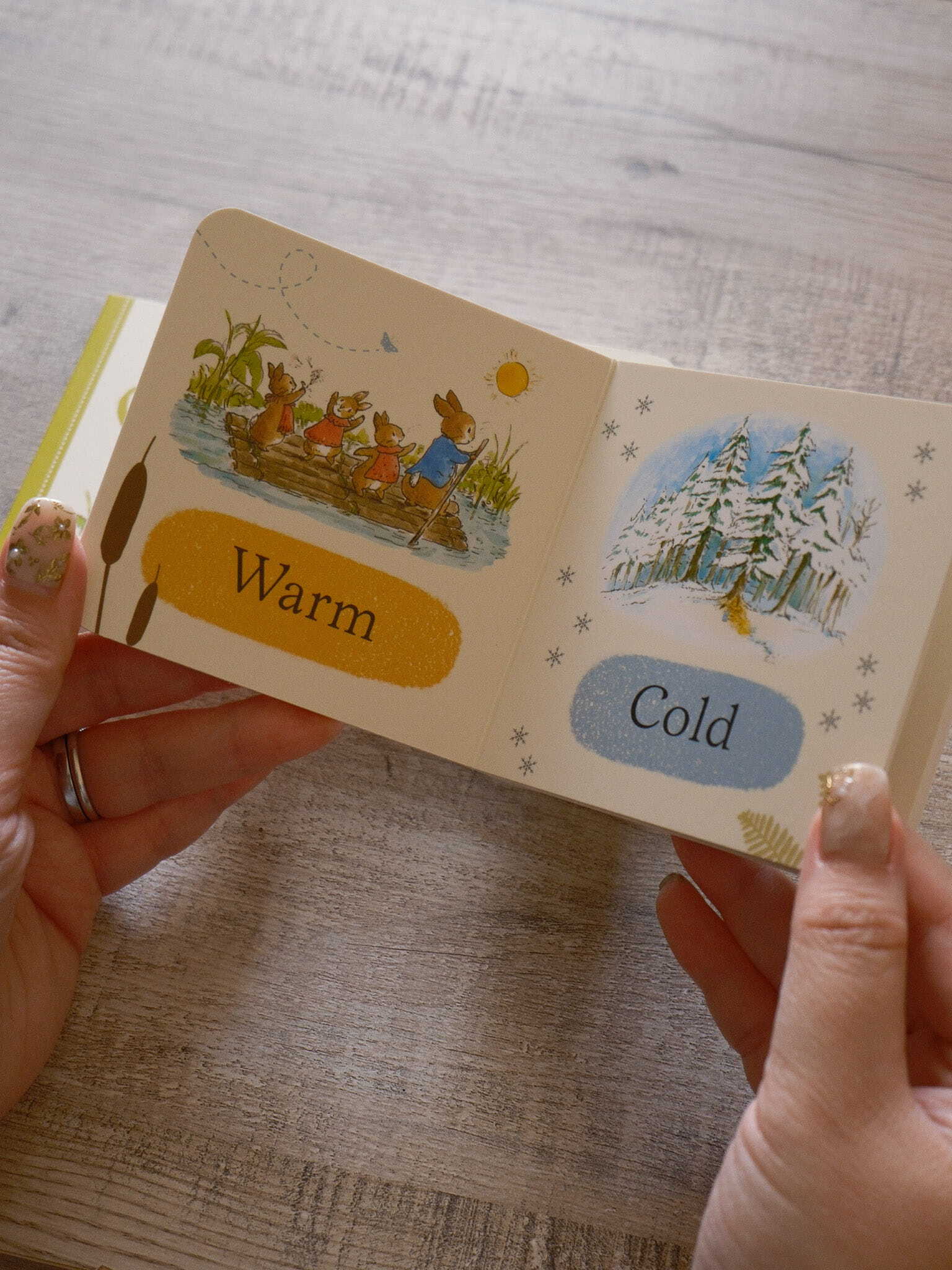 Peter Rabbit Tales Little Library 4