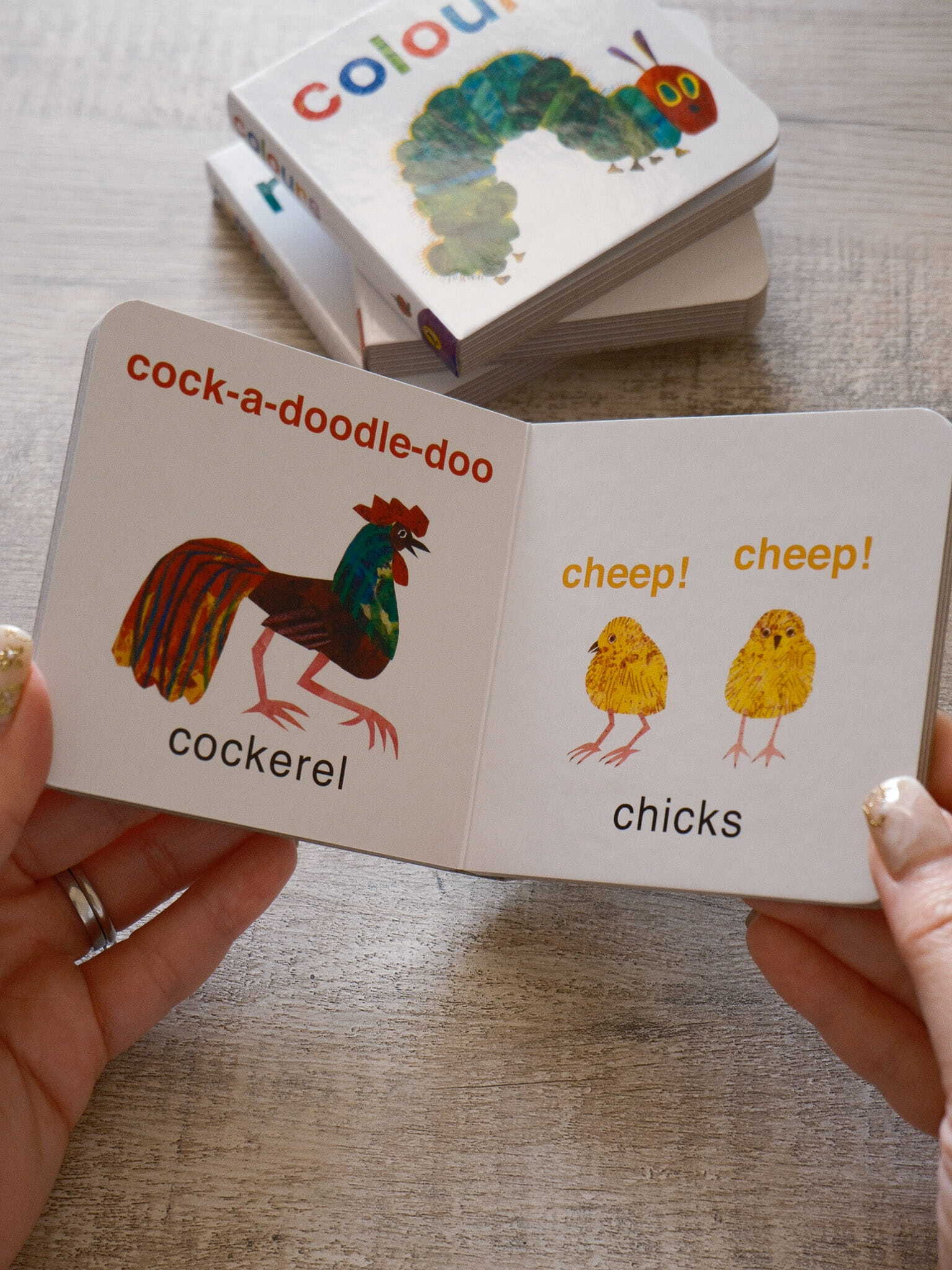 The Very Hungry Caterpillar Little Learning Library 6