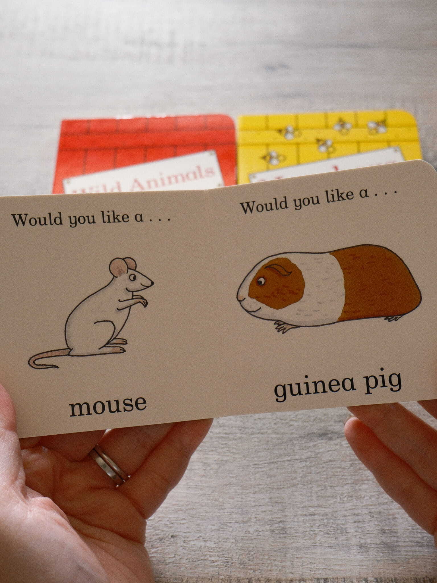 Dear Zoo Little Library 5