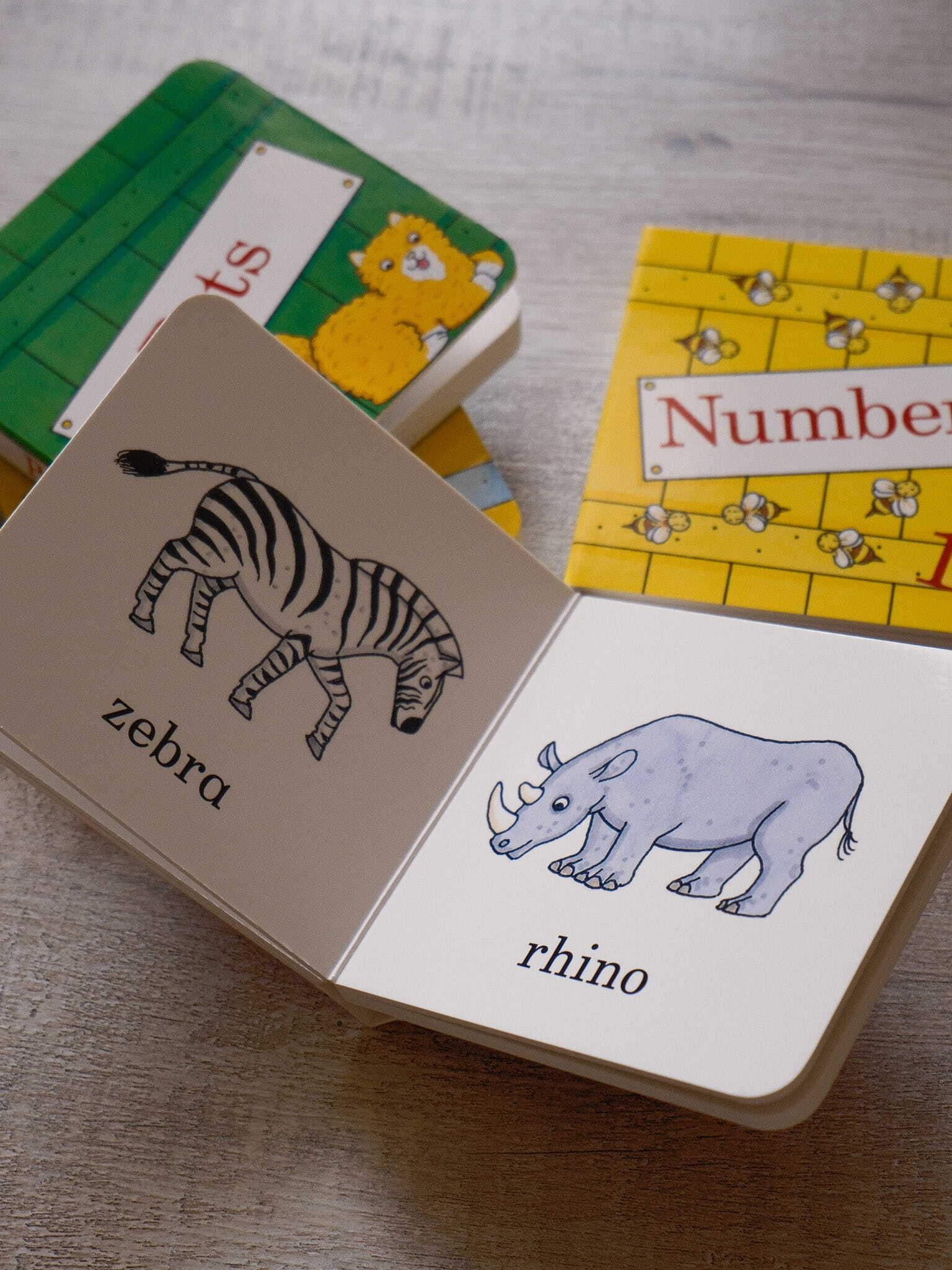 Dear Zoo Little Library 6