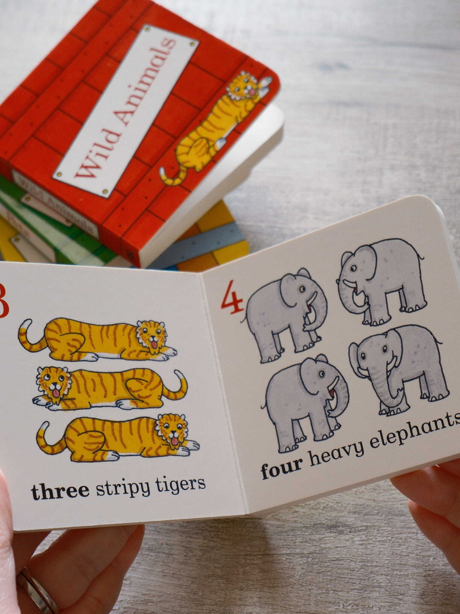 Dear Zoo Little Library 7