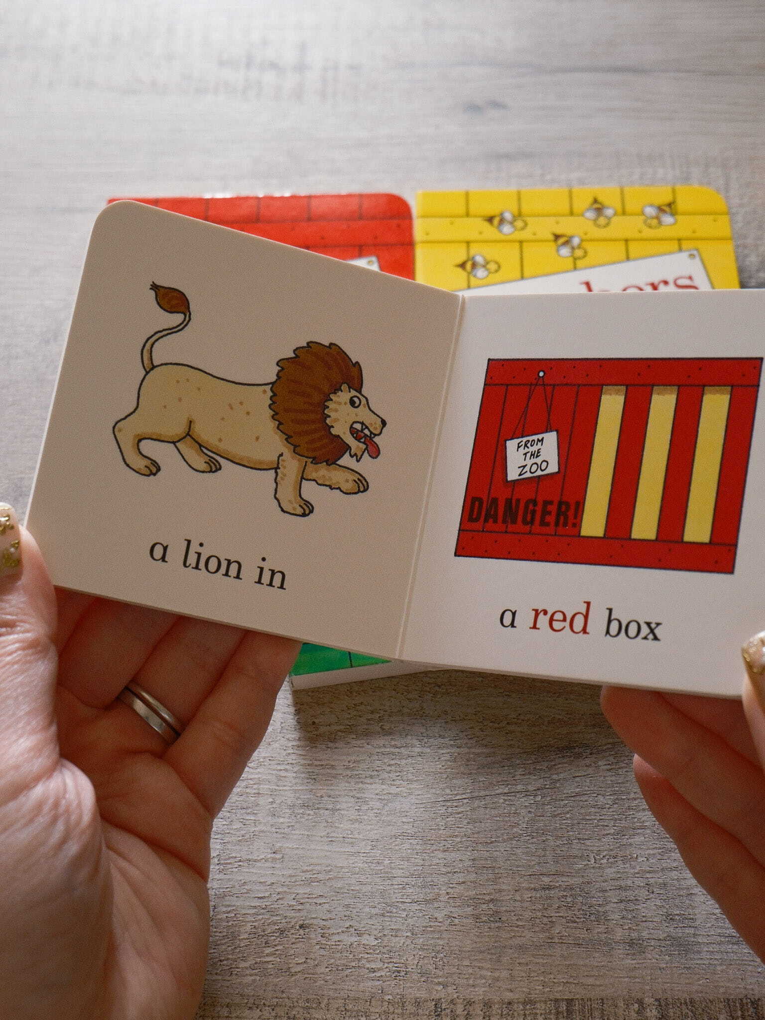 Dear Zoo Little Library 4