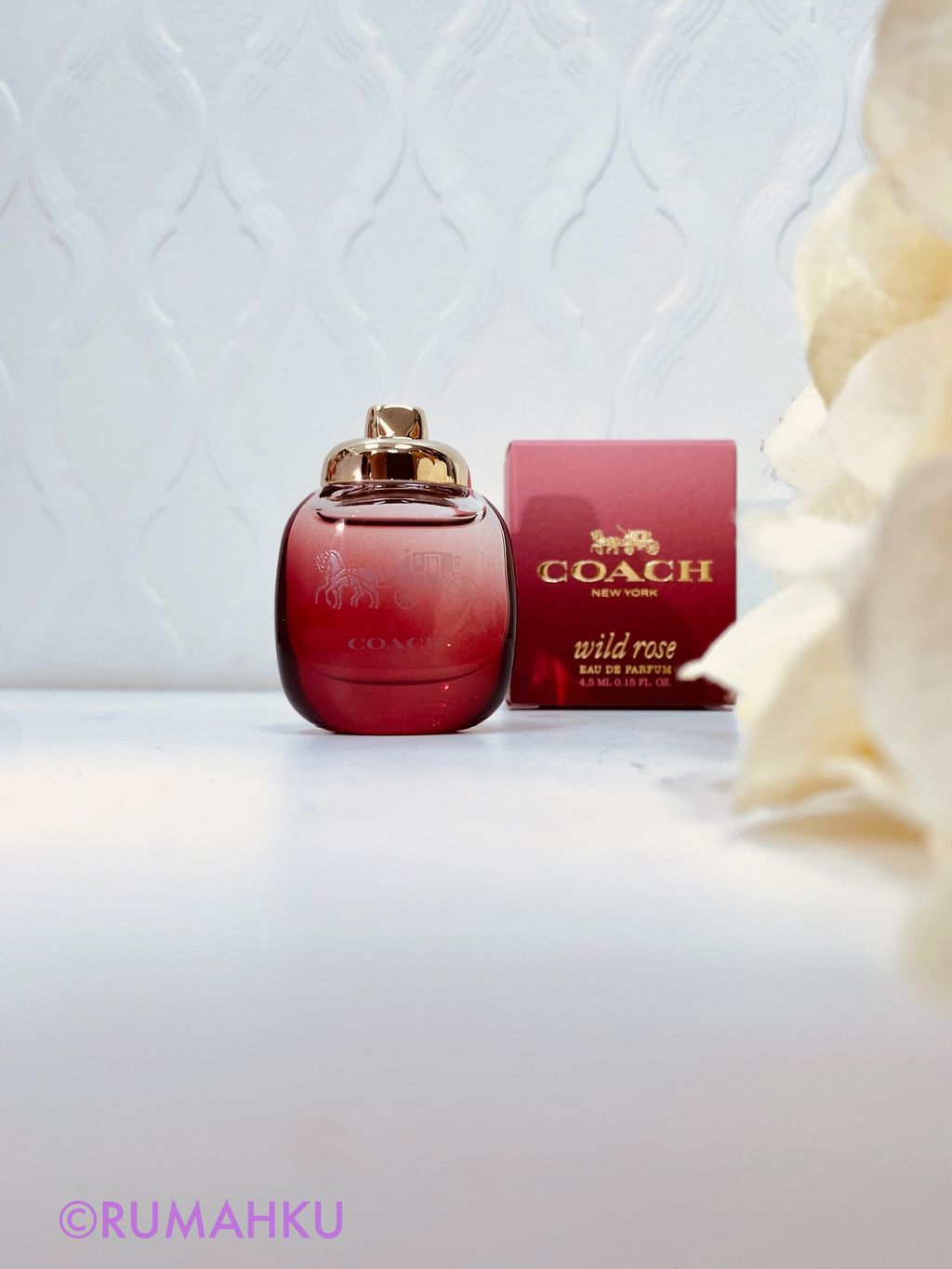 d28d936a91b8cc9ec42709176e734954_exif