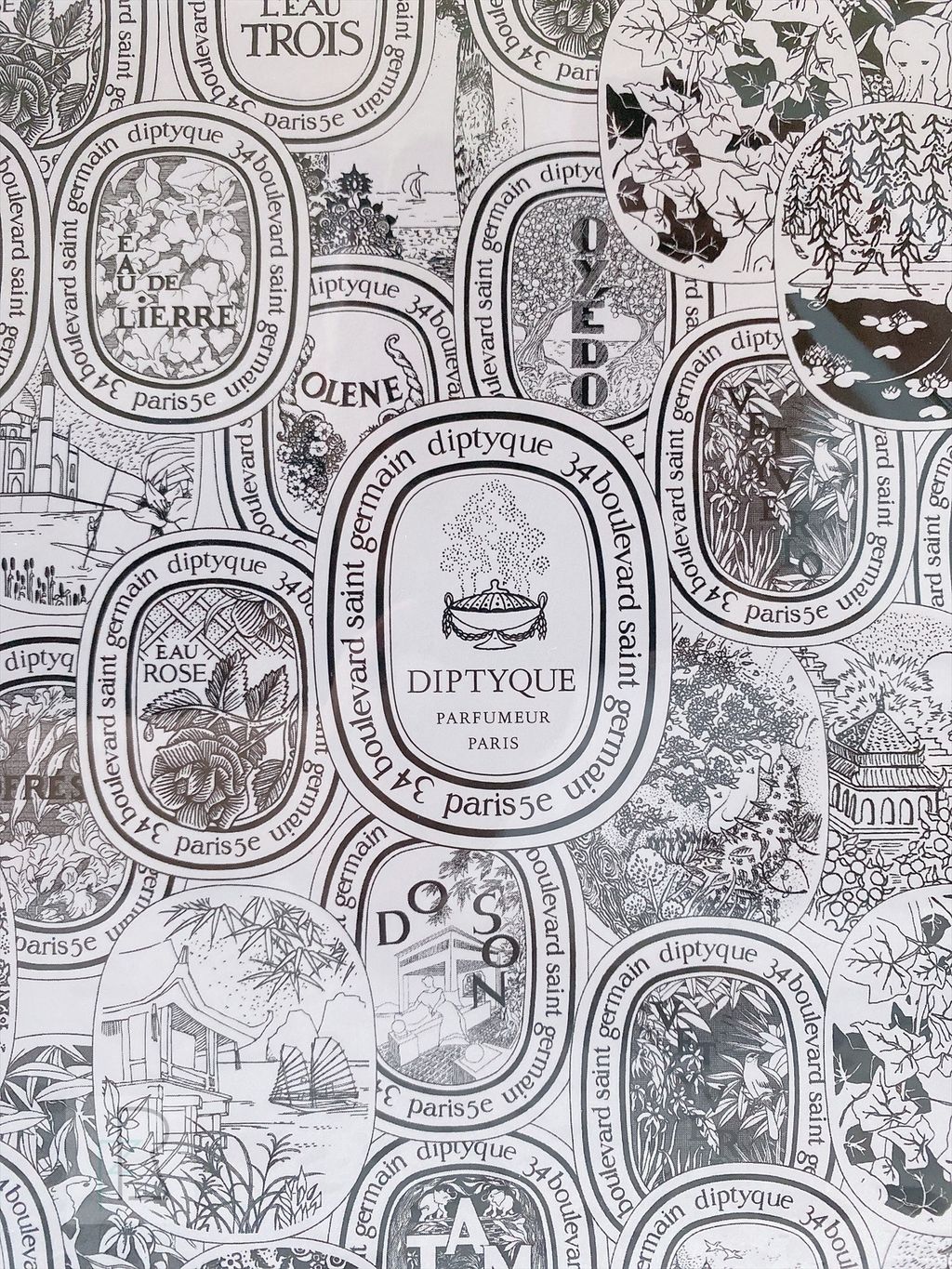 A29C6EF1-512B-4869-897A-68FB22A254FE