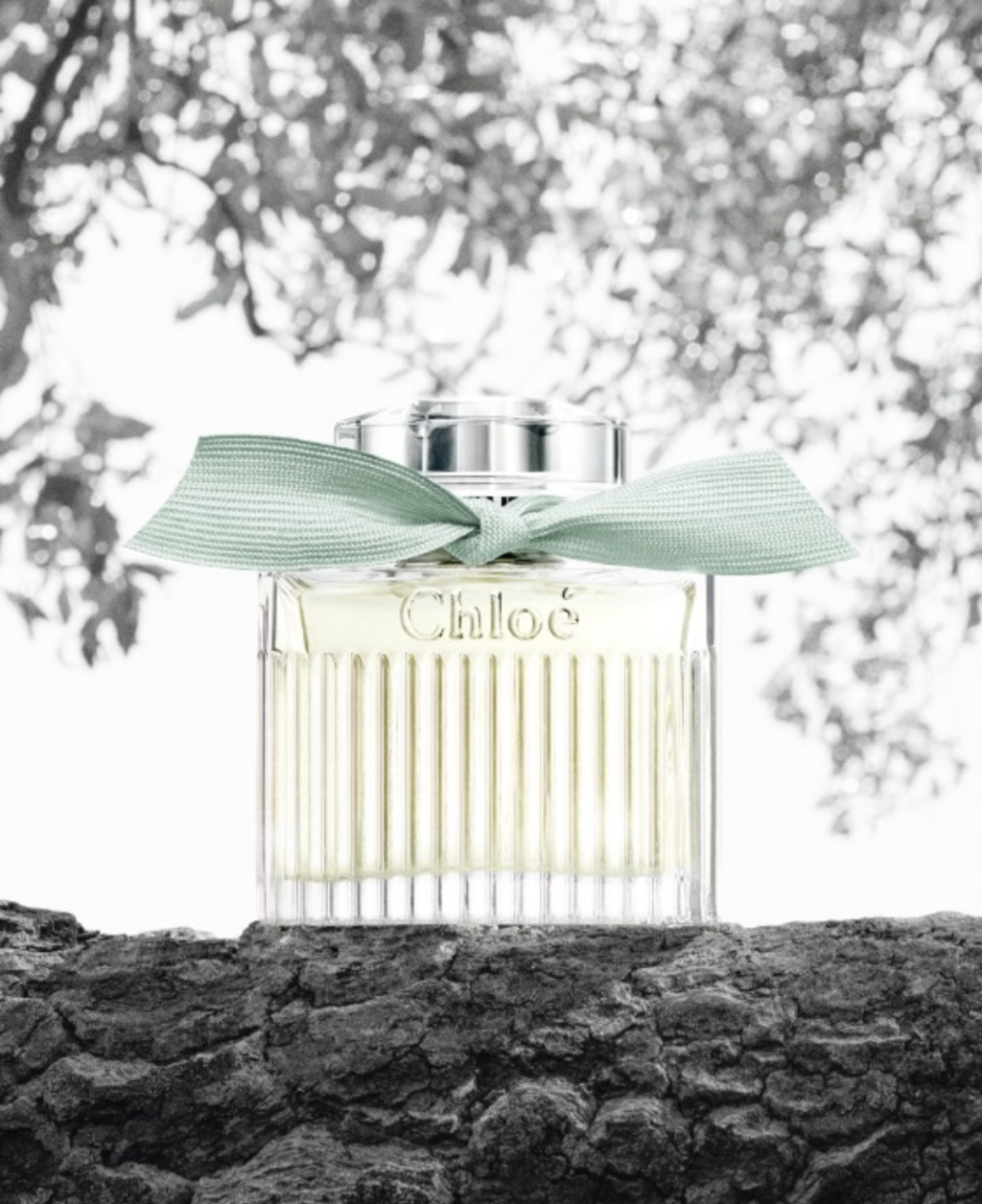 截圖 2023-08-29 上午1.23.53