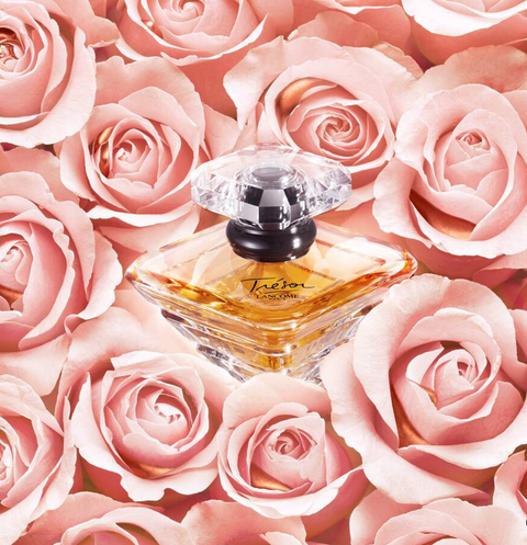 截圖 2023-09-02 上午12.09.15