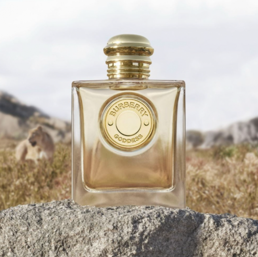 截圖 2024-01-02 下午10.24.44