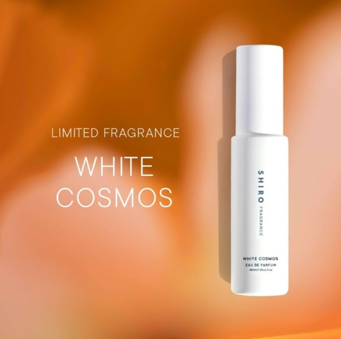 截圖 2024-01-17 下午9.44.04