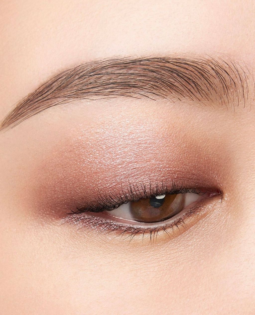 IMG_4225-1705594759932