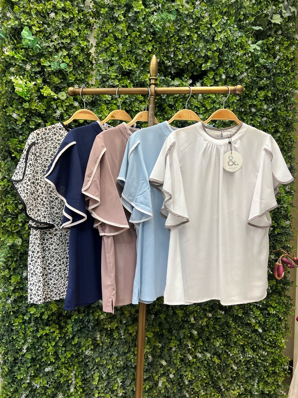 IMG_7293-1723787888994