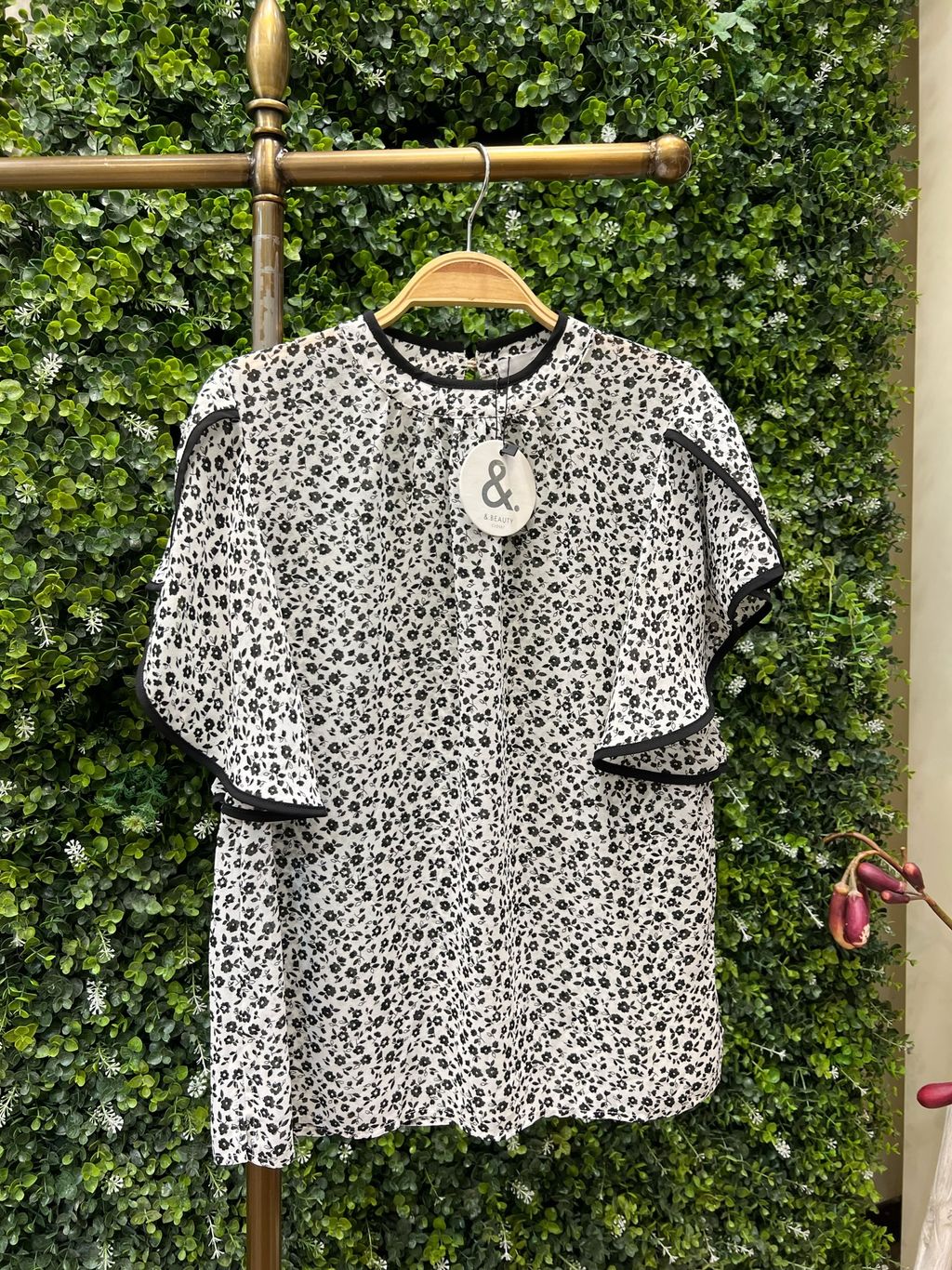 IMG_7299-1723787943398