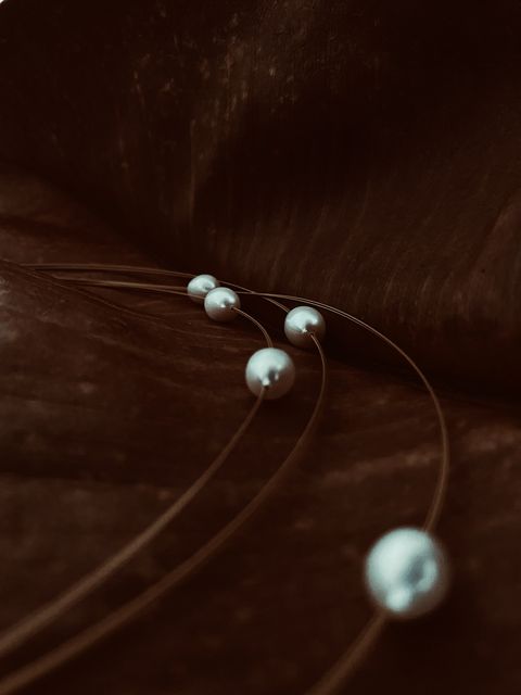 59B06A30-555C-48A9-835B-1DF6DD5B9E7C