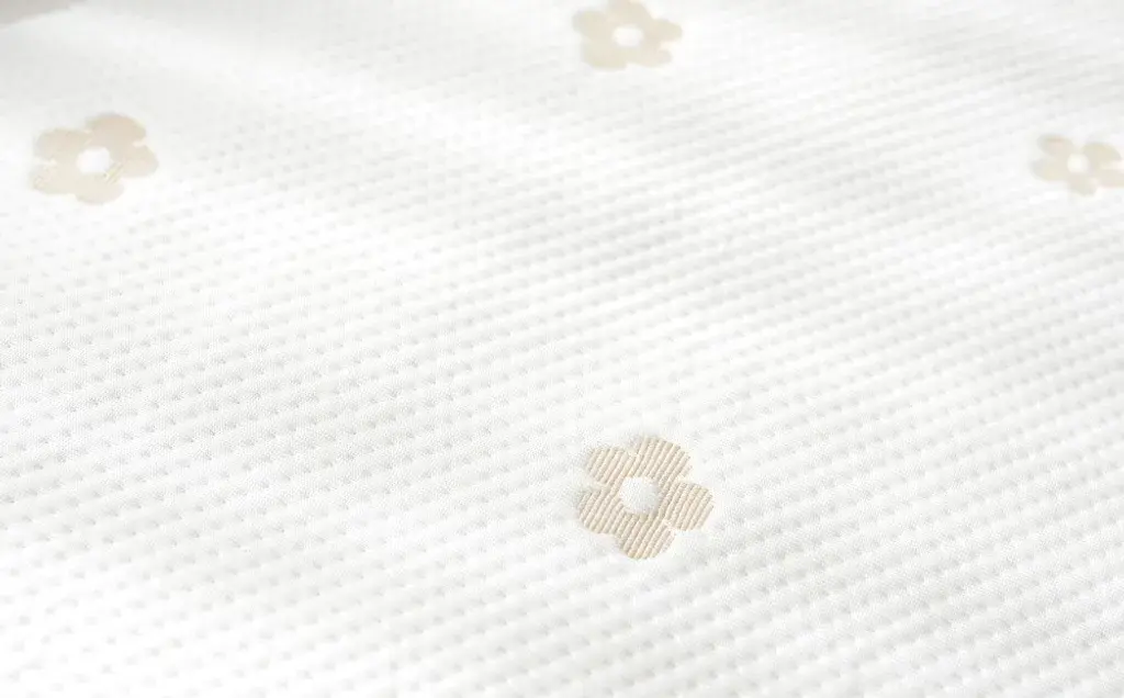 IMG_2477-1726390891834