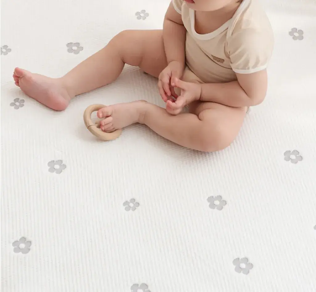 IMG_2484-1726390891891