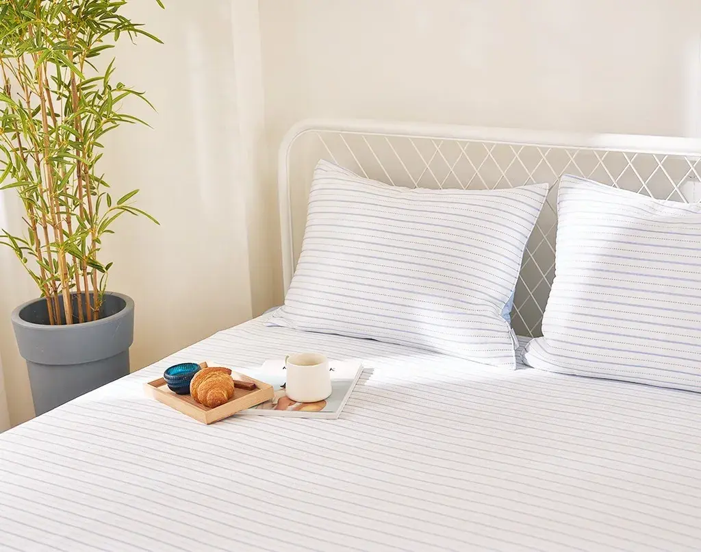 IMG_2499-1726392339330