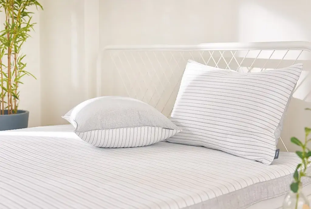 IMG_2501-1726392339347