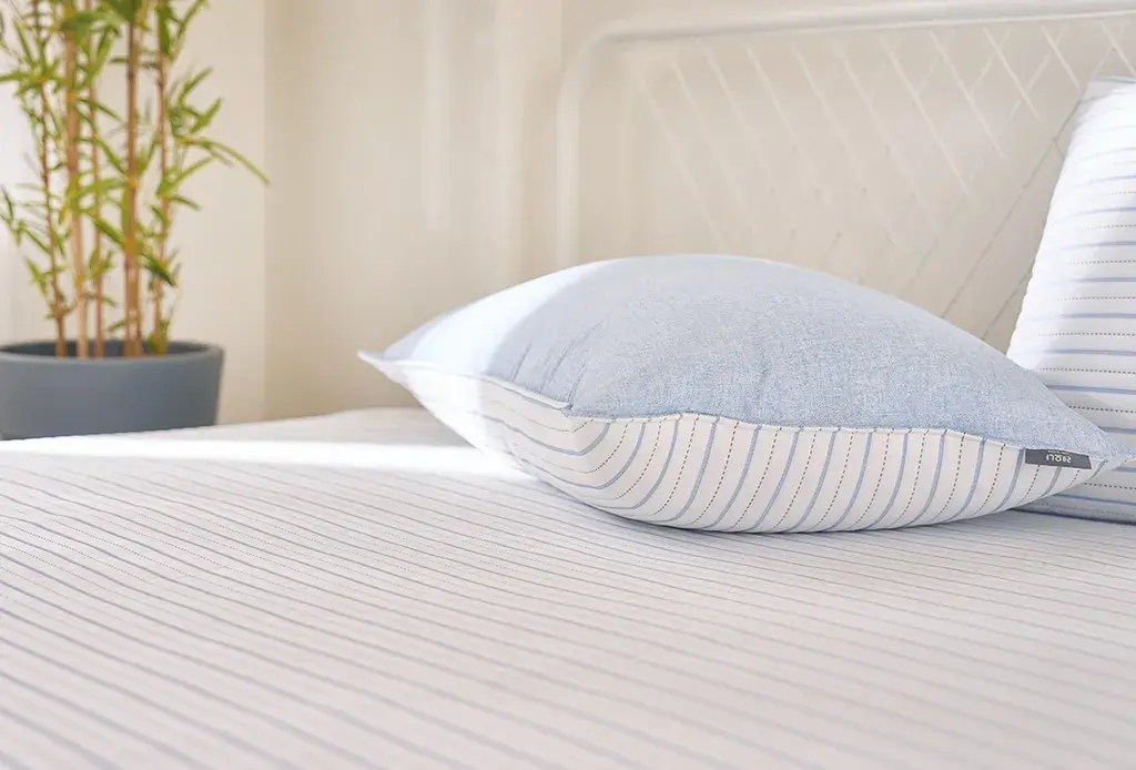 IMG_2502-1726392339356