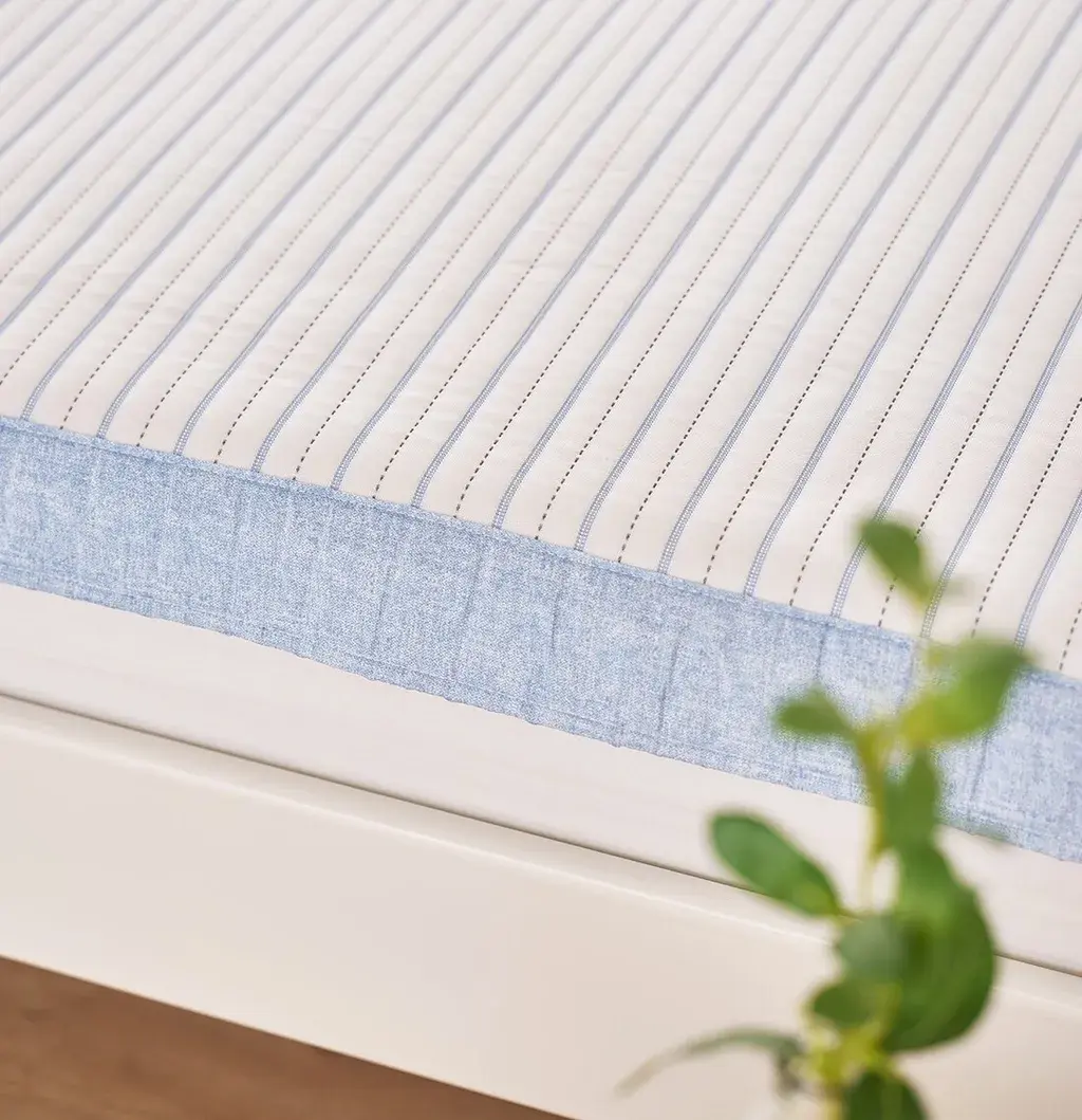 IMG_2503-1726392339365