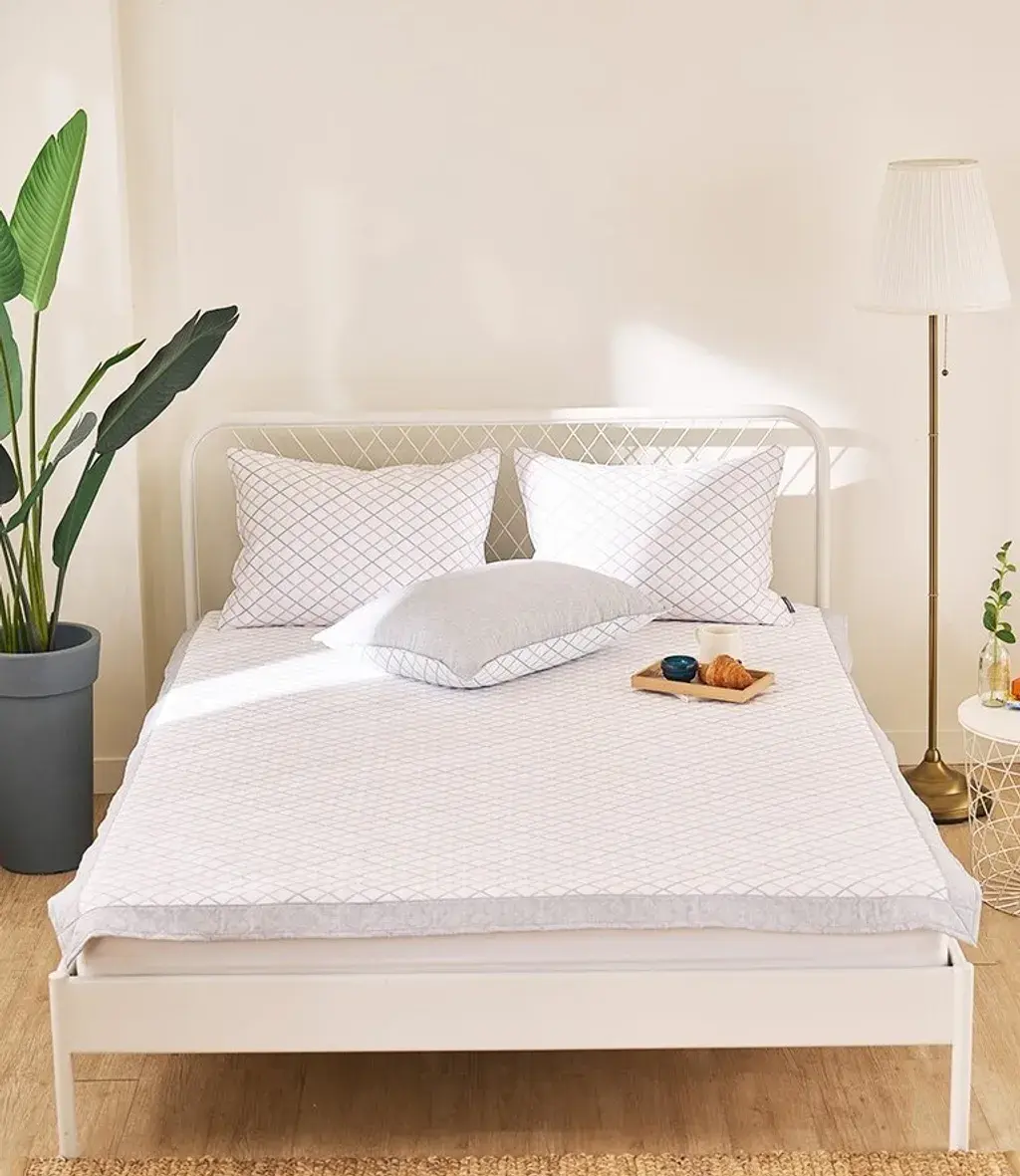 IMG_2512-1726472546747