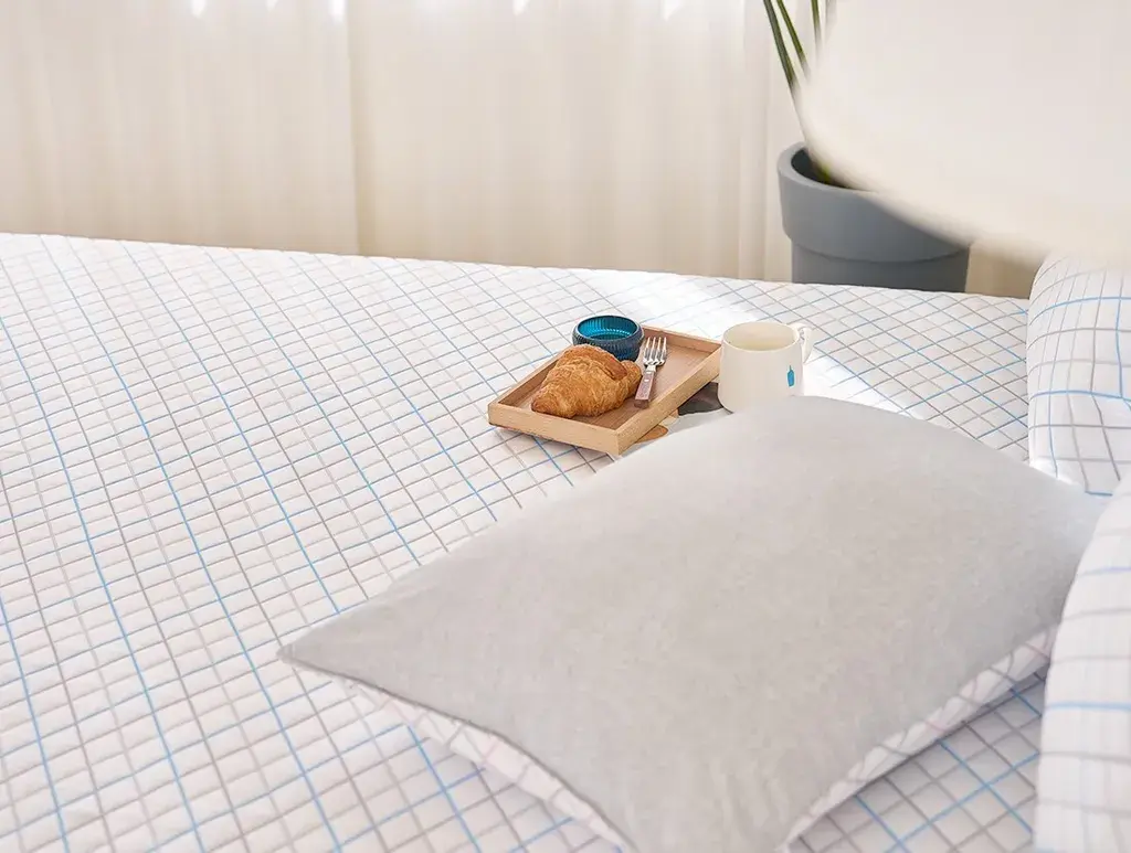 IMG_2513-1726472546756