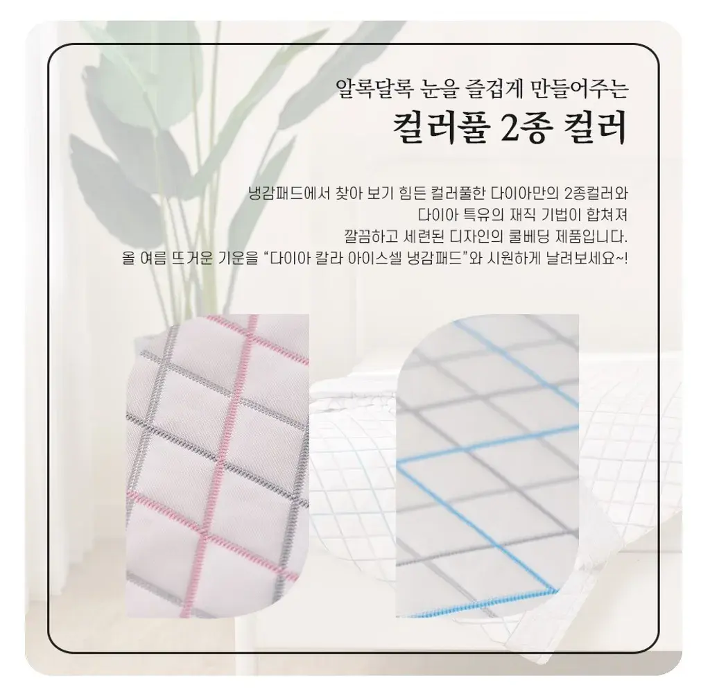 IMG_2519-1726472546809