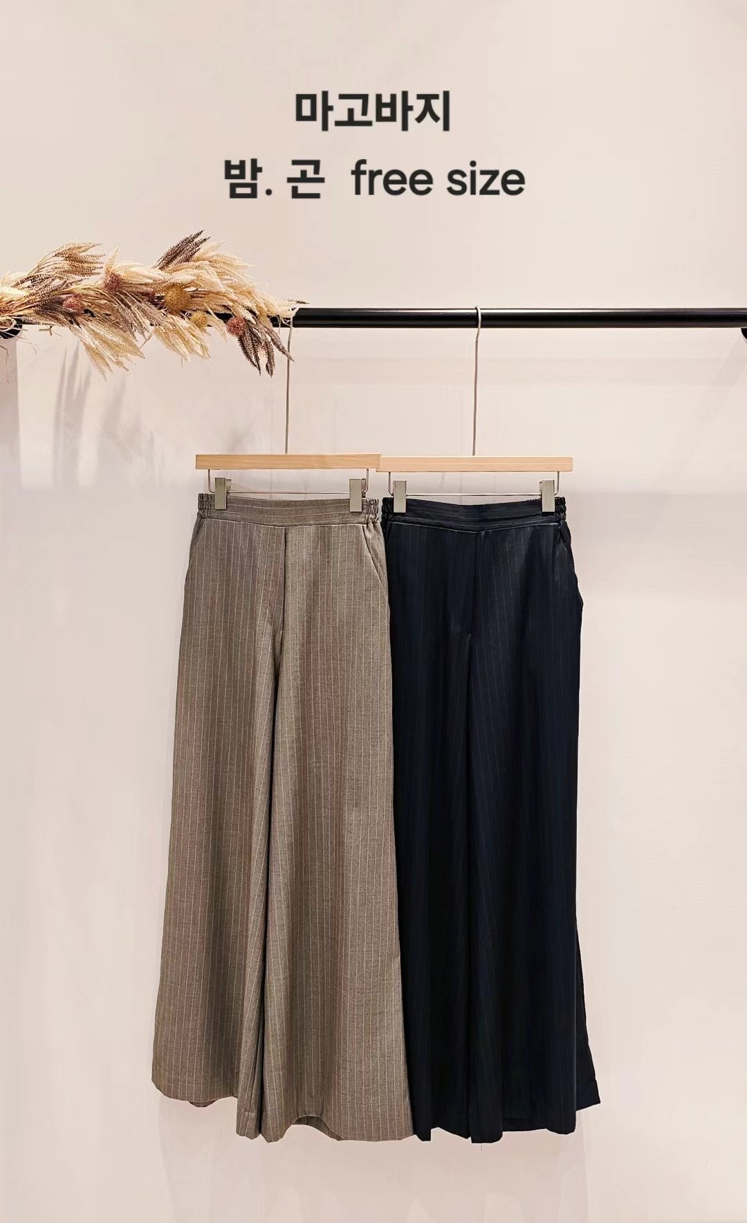 IMG_2910-1730031564353