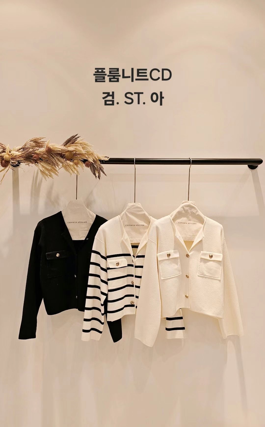 IMG_2926-1730043969708