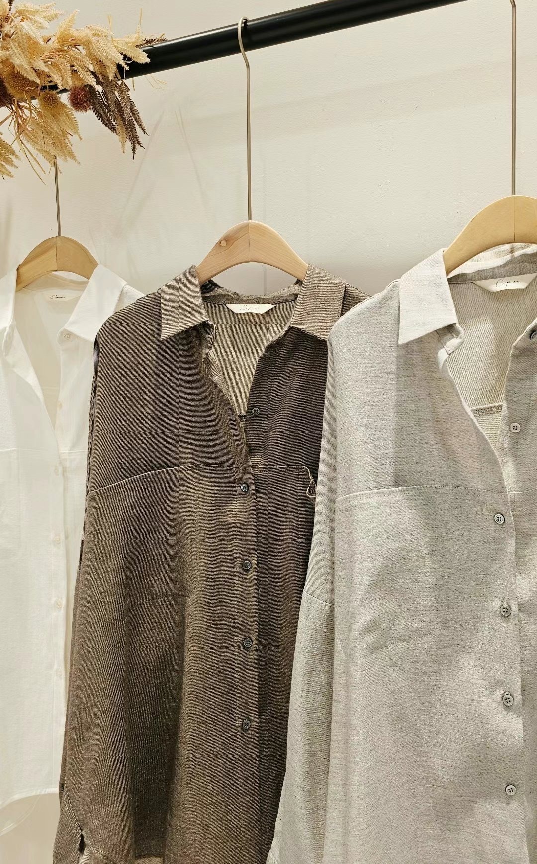 IMG_2946-1730047063100