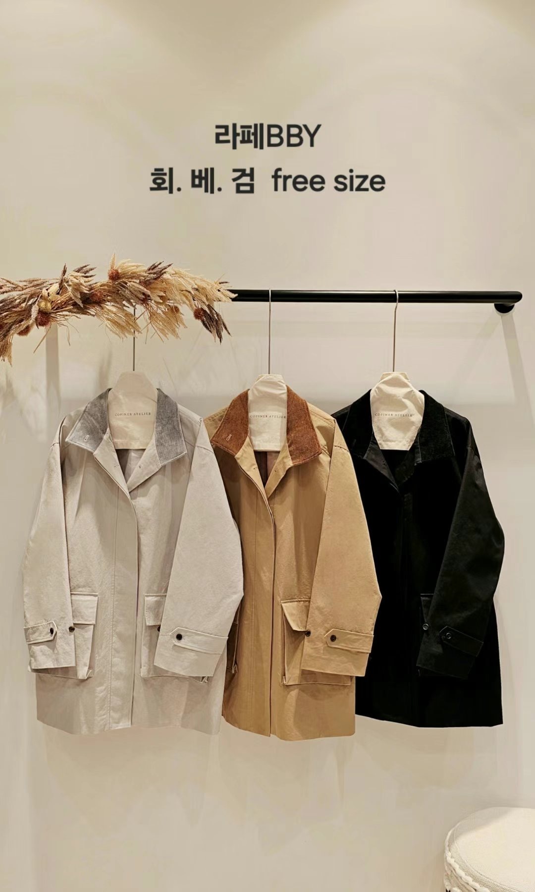 IMG_3004-1730053804379