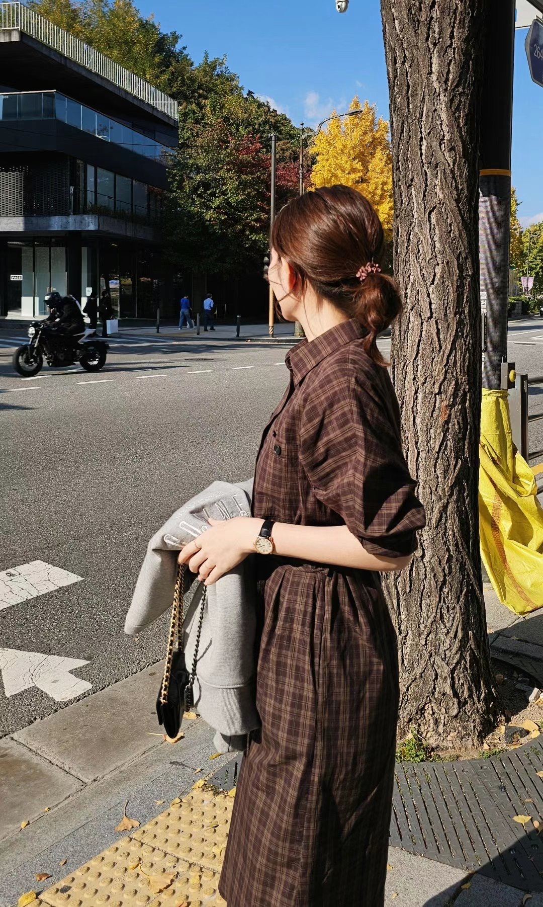 IMG_3354-1732442923804