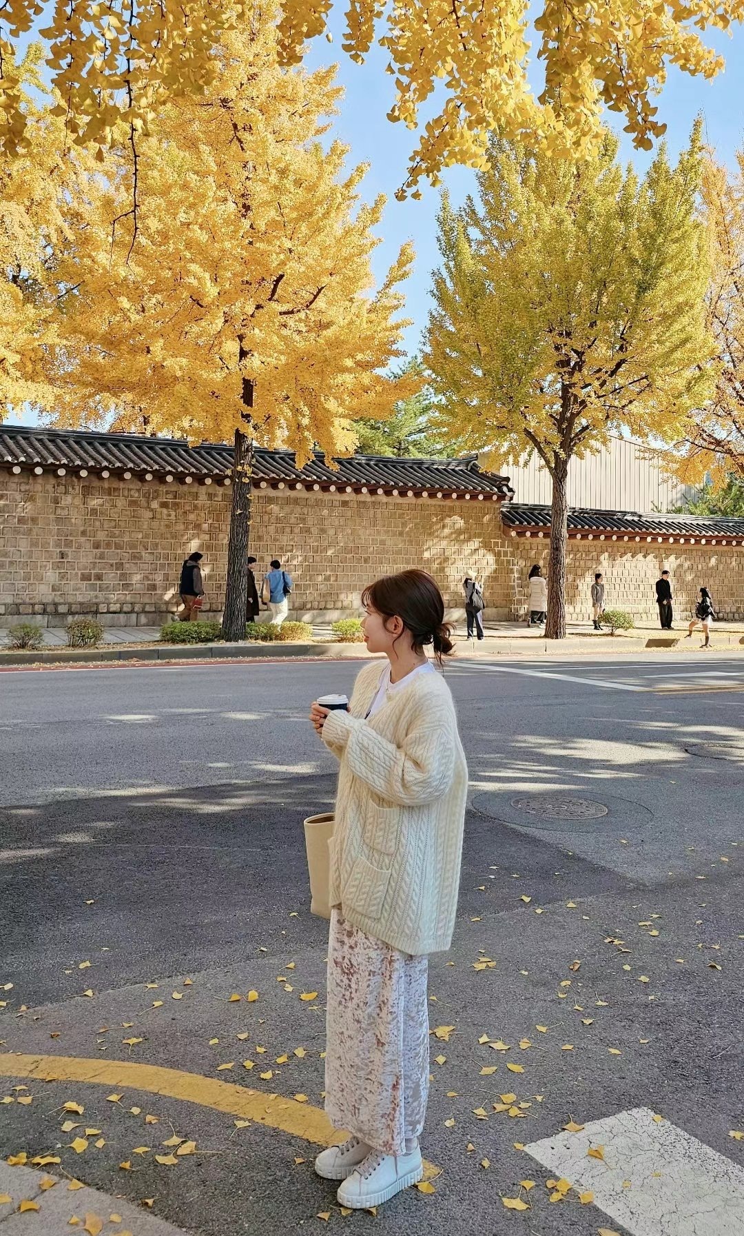 IMG_3413-1732467035596