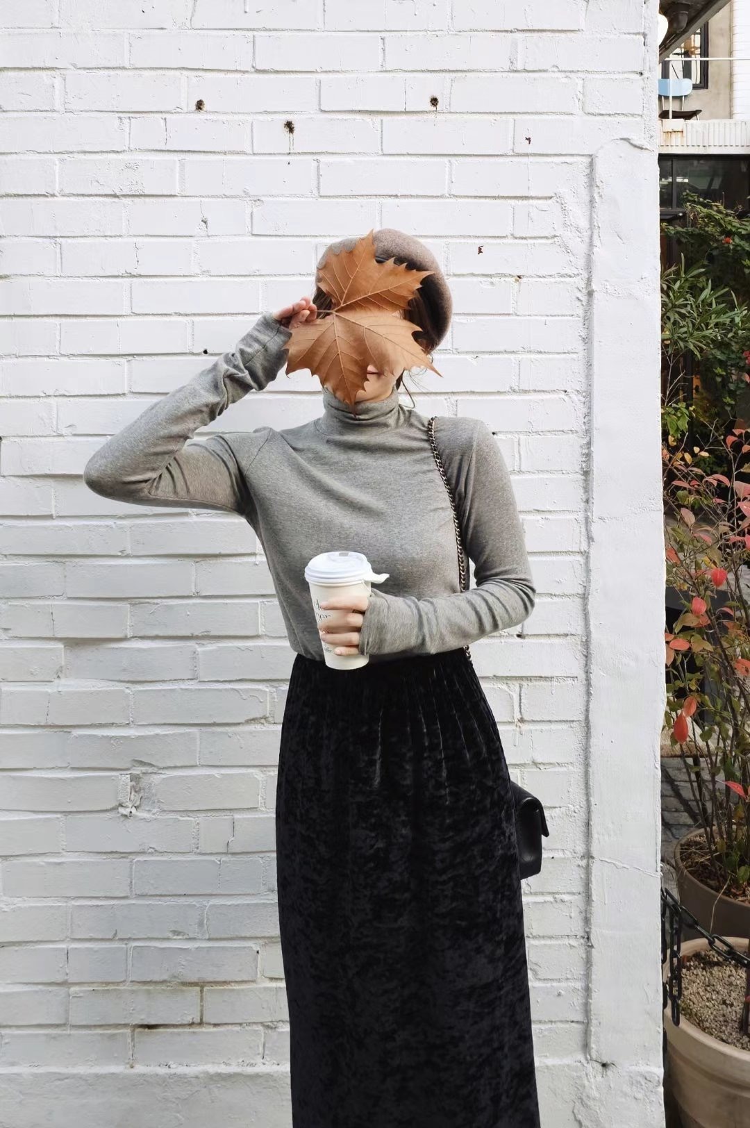 IMG_3423-1732468403350