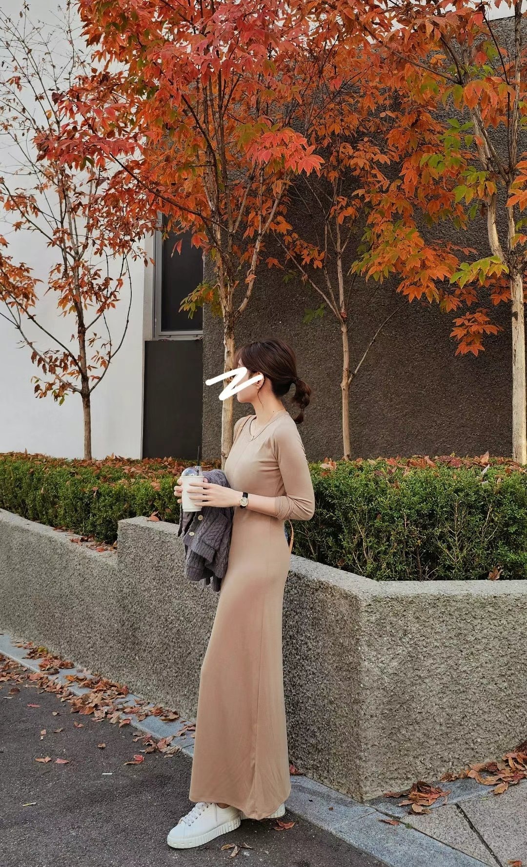 IMG_3613-1733650584363