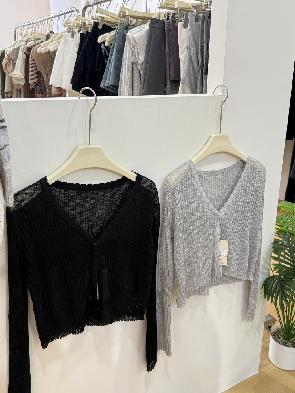 image_4D41170C-4A7C-4B36-88F9-AC2C5FD4AB95_1765180792