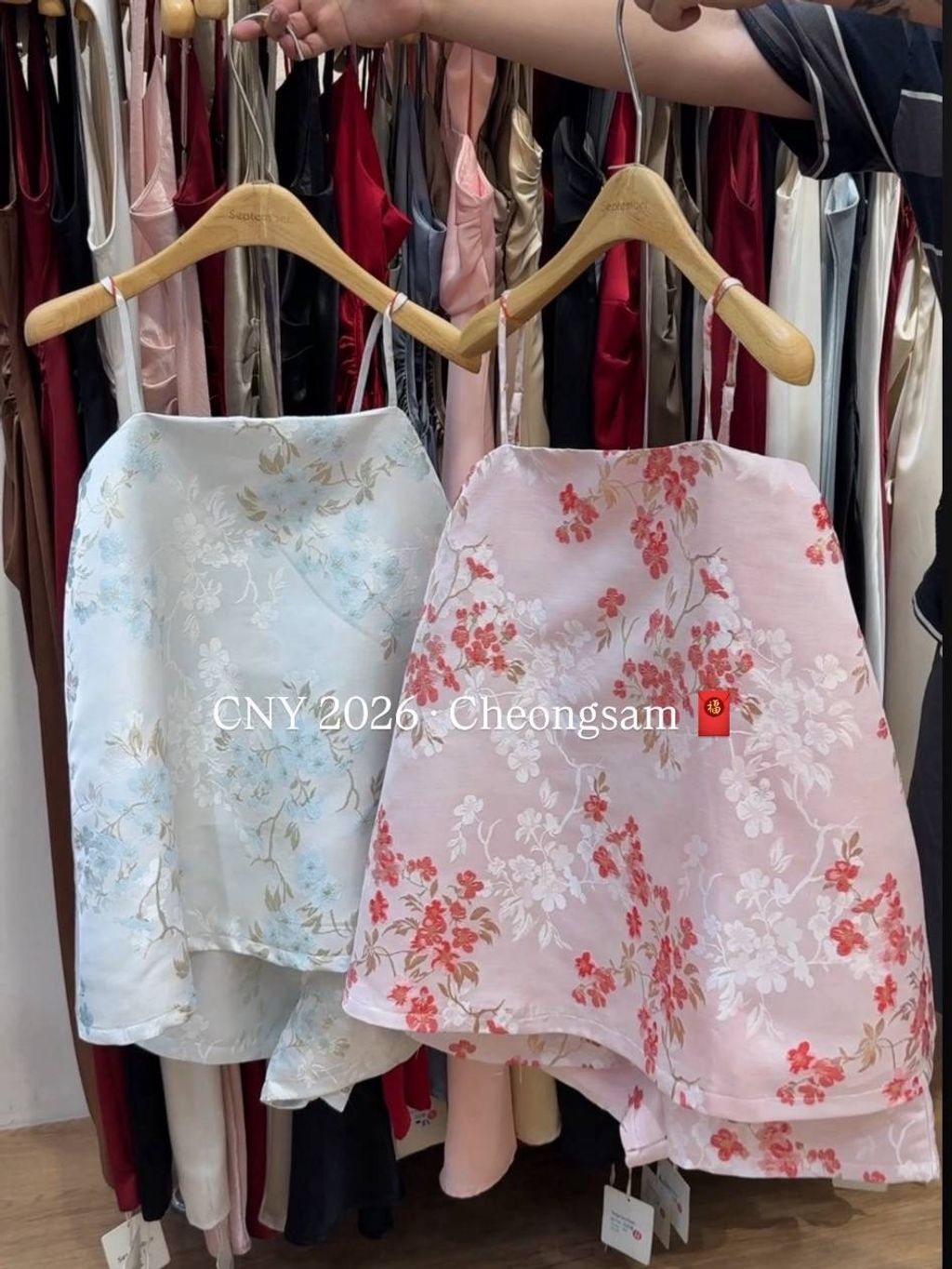 image_244DD118-761F-4B26-B223-4FE0E4AD6CDF_1766197700