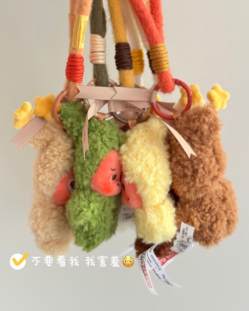 image_463CE4F1-4350-4F10-8C56-4BD6AA026983_1766887642